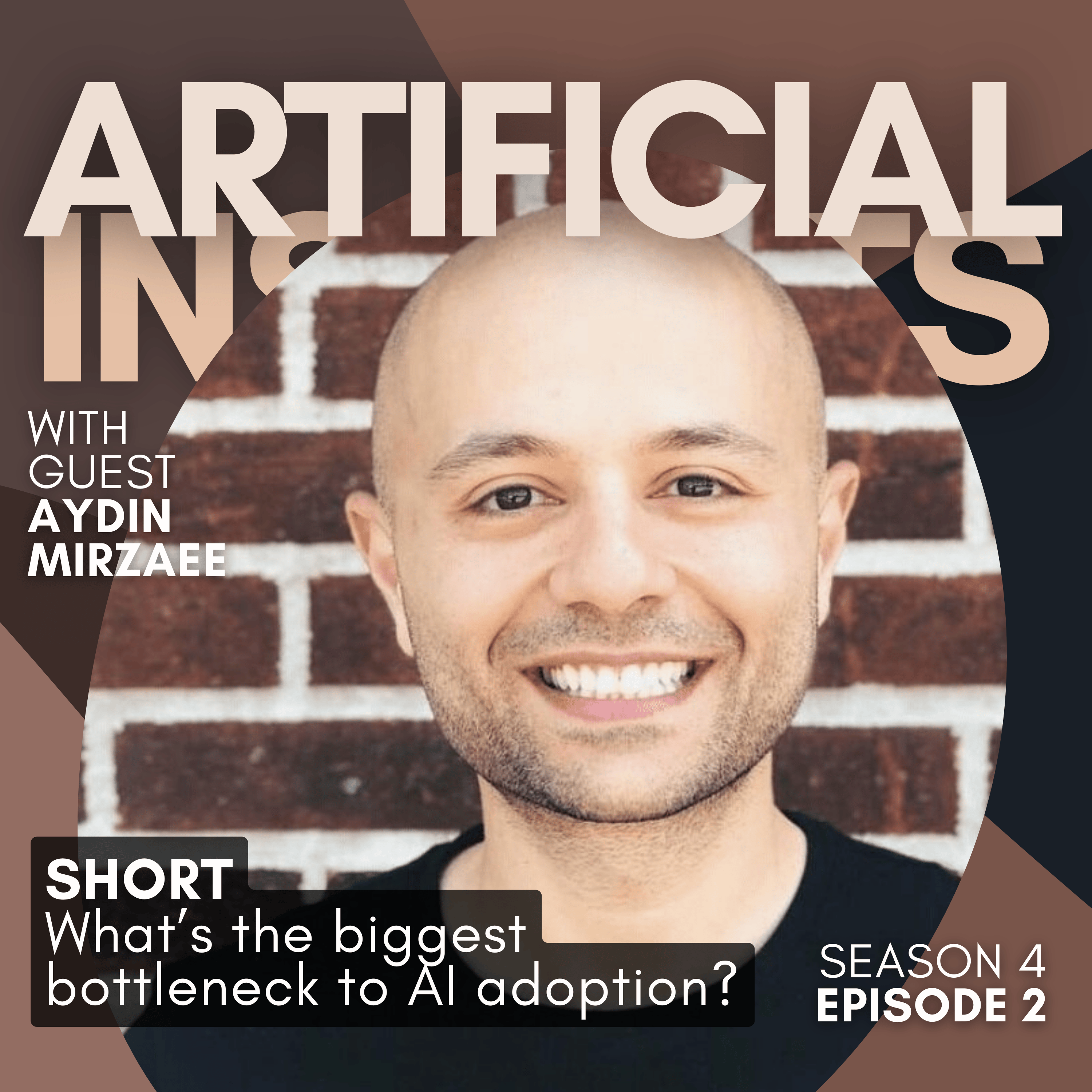 Artificial Insights: Conversations About AI