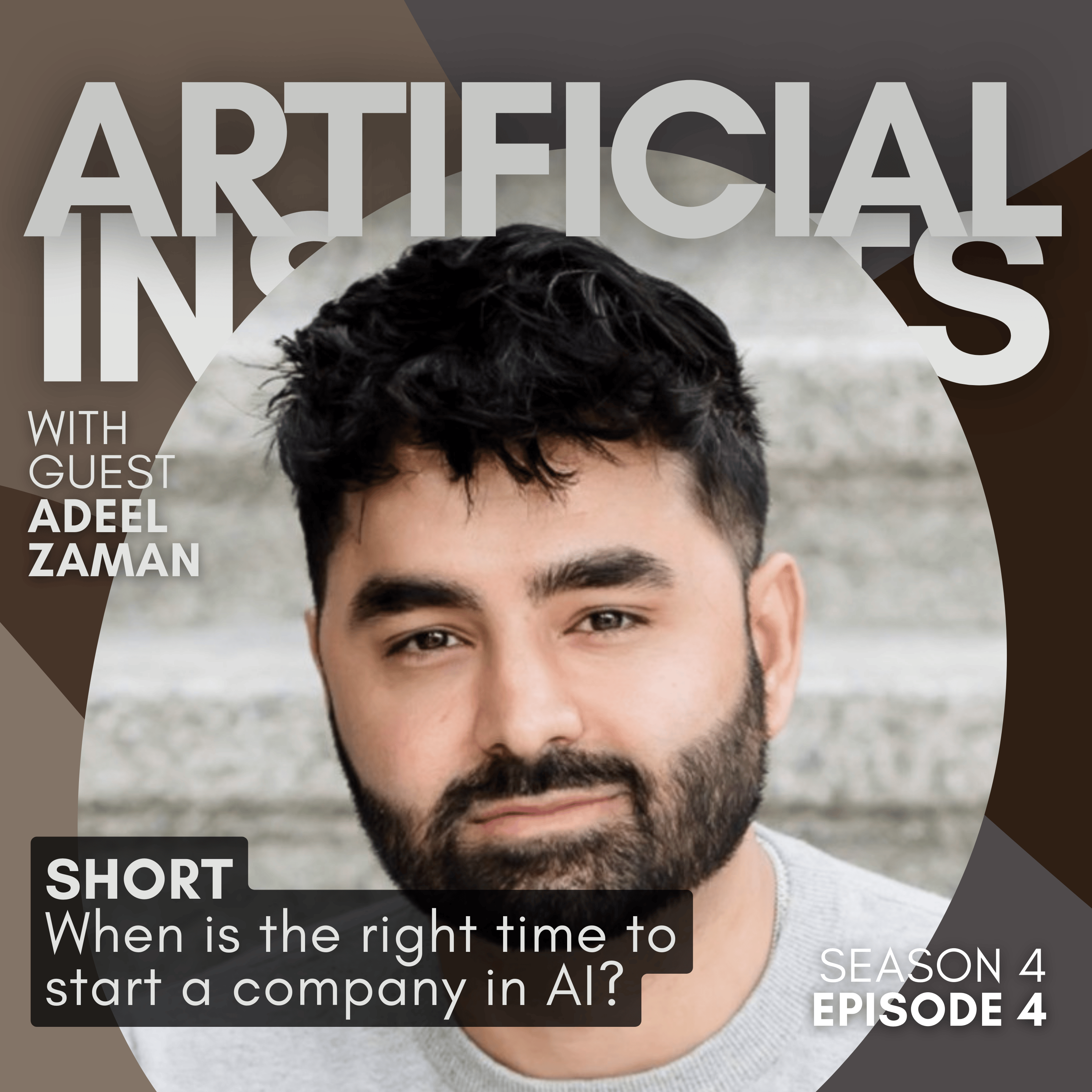 Artificial Insights: Conversations About AI