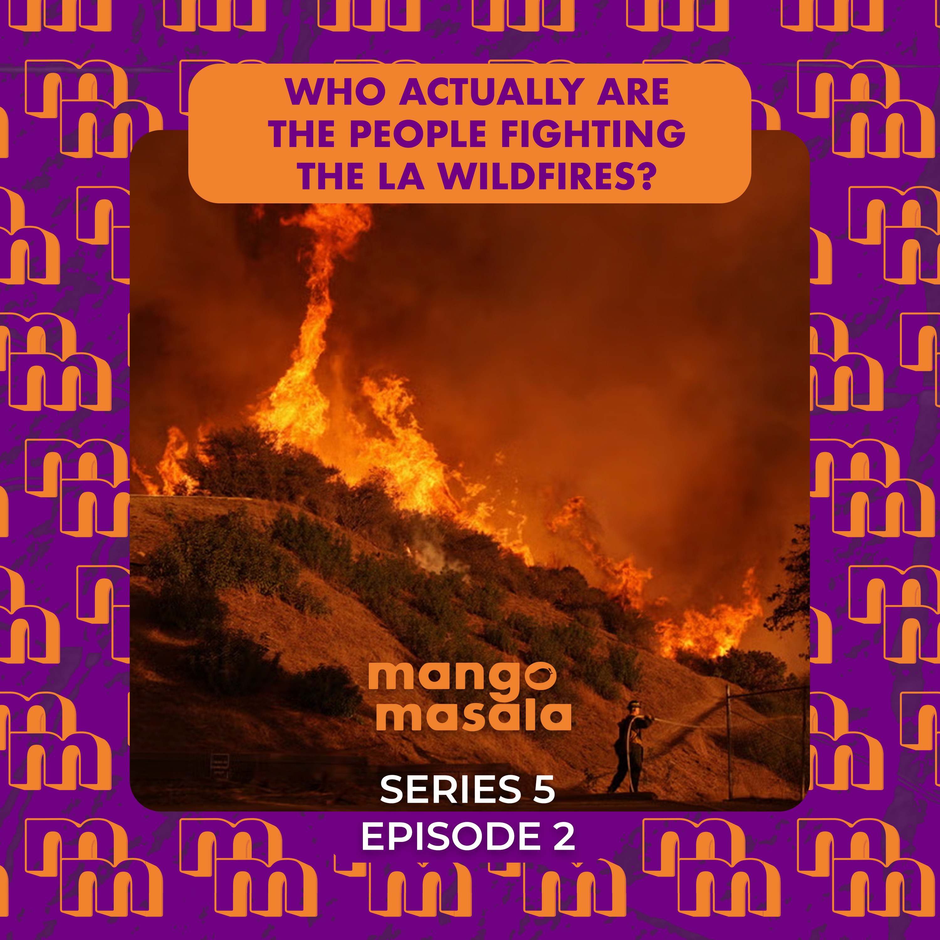 Who actually are the people fighting the LA wildfires?