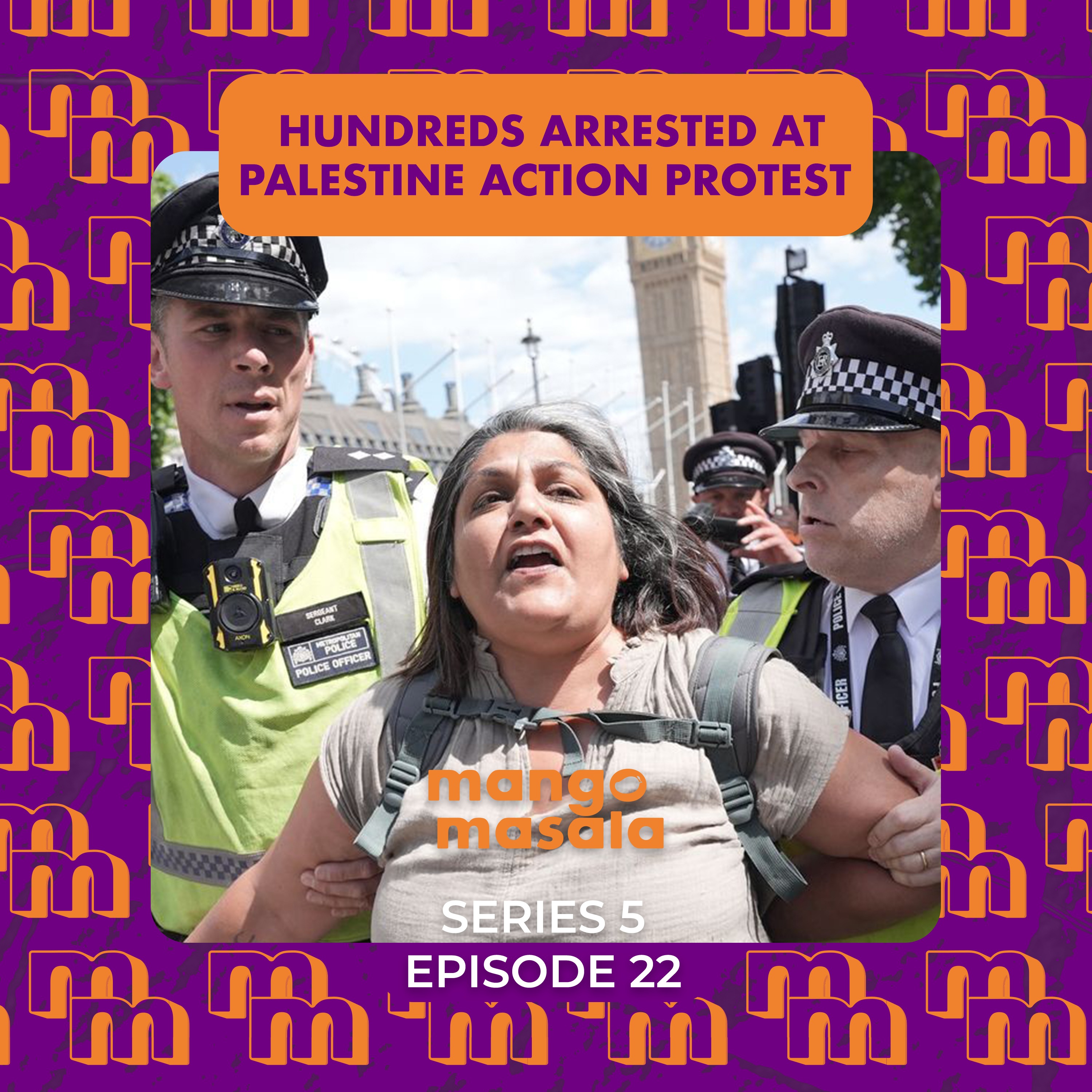Hundreds arrested at Palestine Action protest