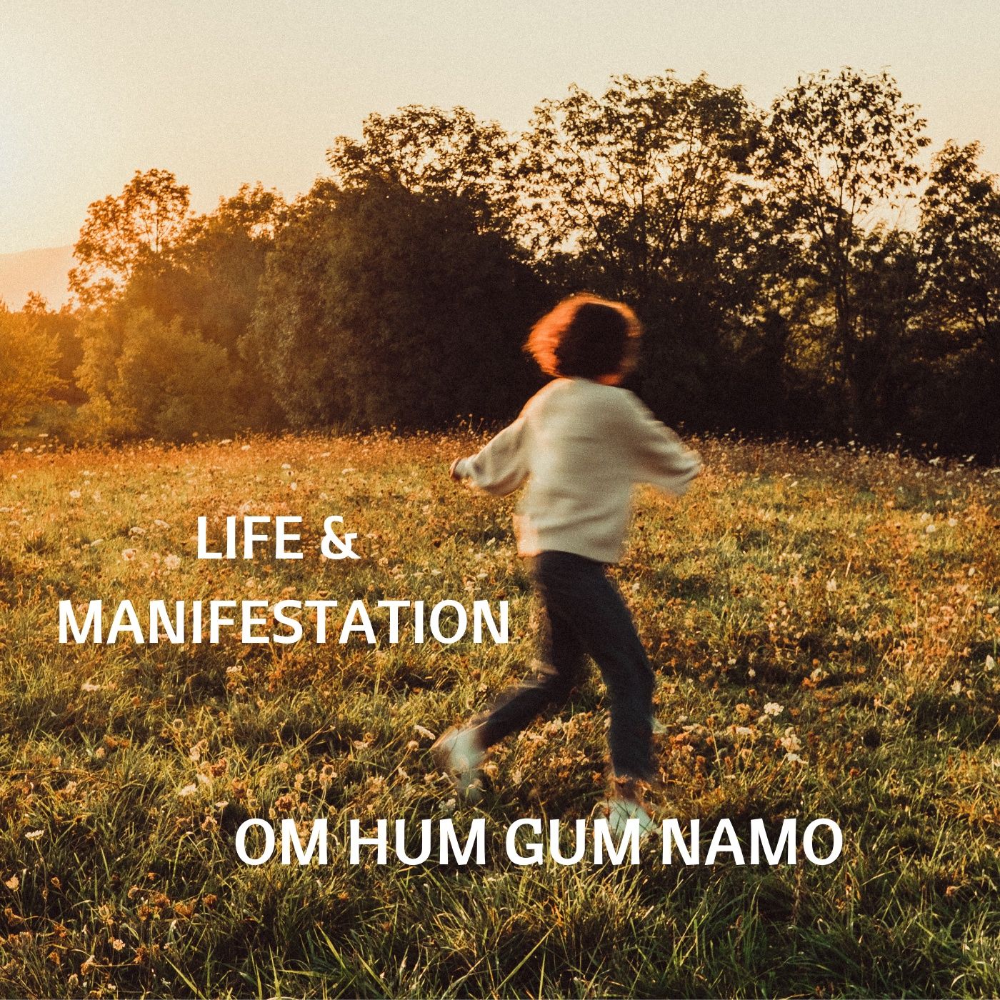 Life & Manifestation