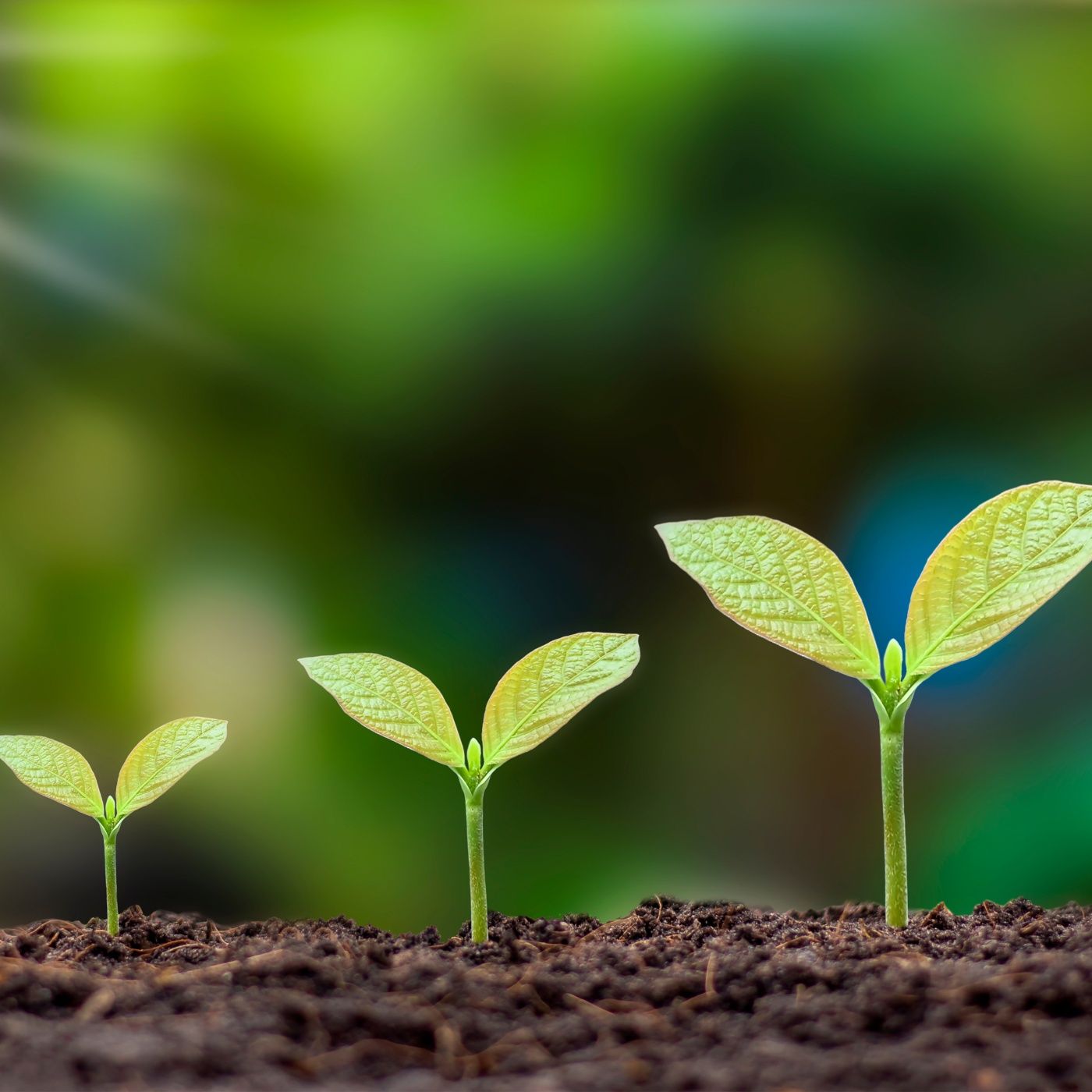 Mantras & Meditation & Creation