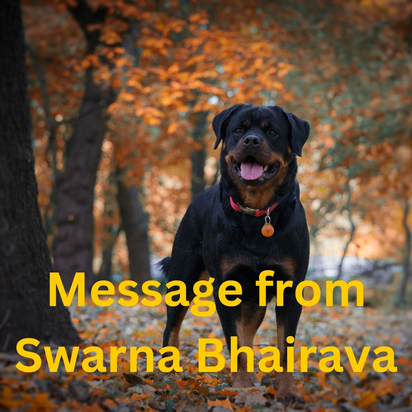 Mantras & Meditation & Creation