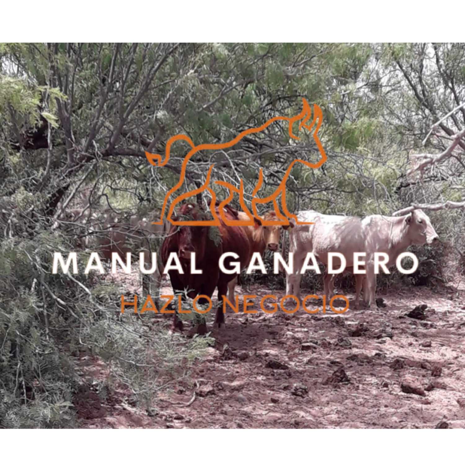 Manual Ganadero