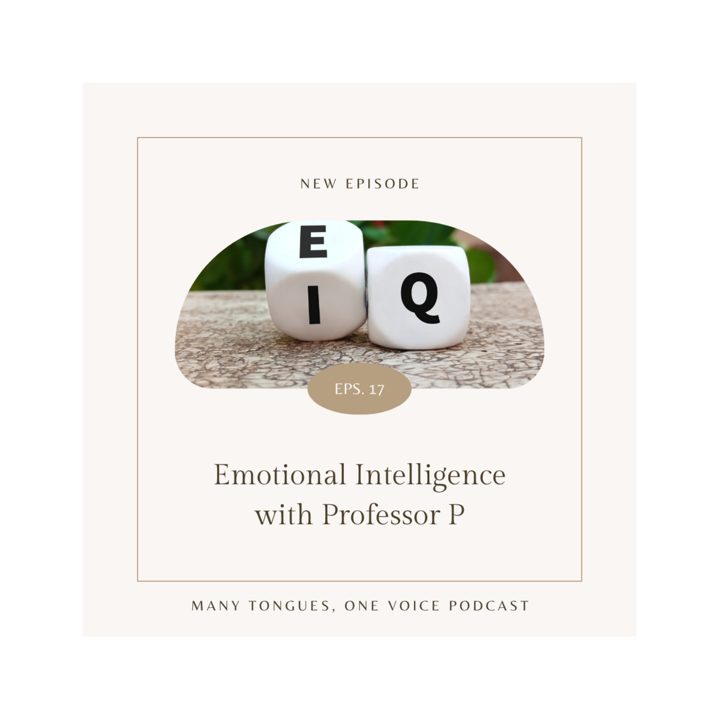 Emotional Intelligence