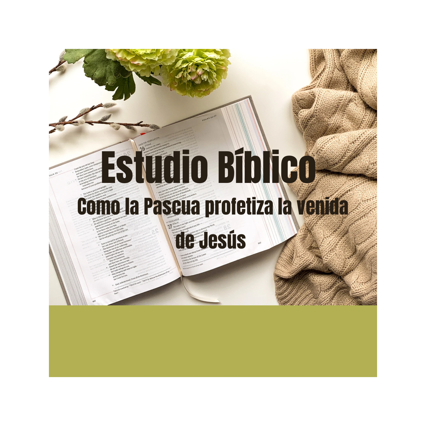 Estudio Bíblico 2024