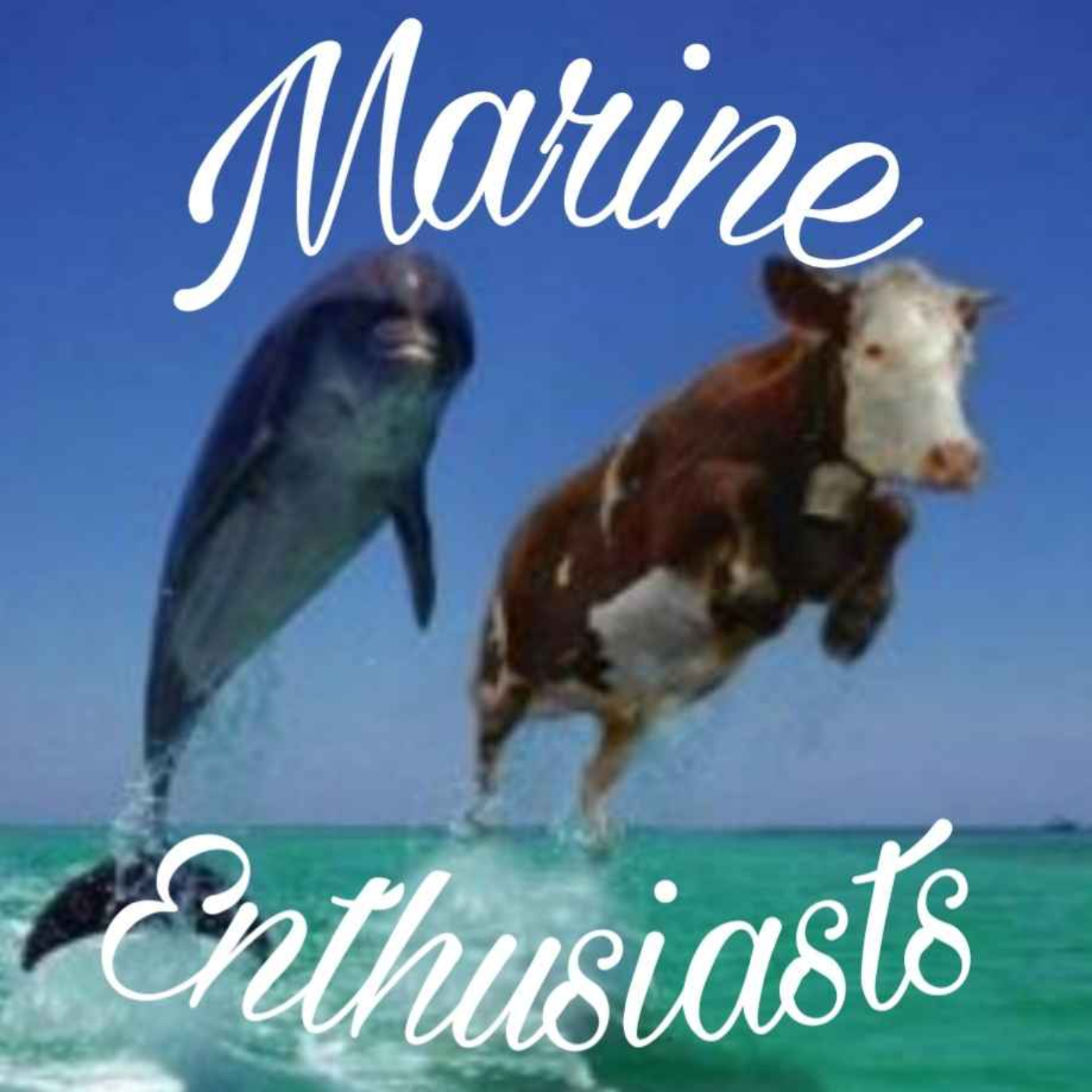 Marine Enthusiasts