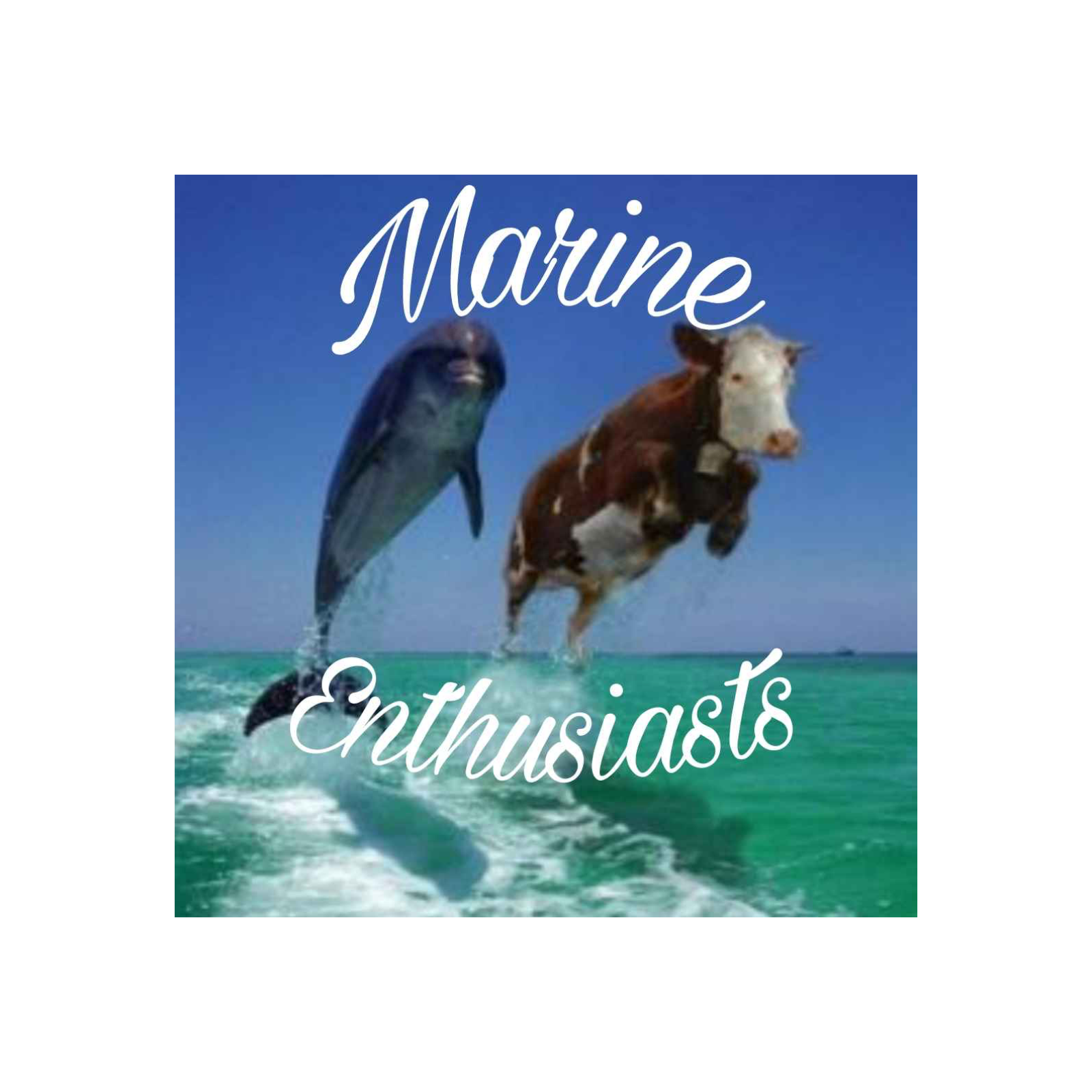 Episode 4: An Interview With Washington Marine Biologist, Samantha-Lynn Martinez! episode artwork