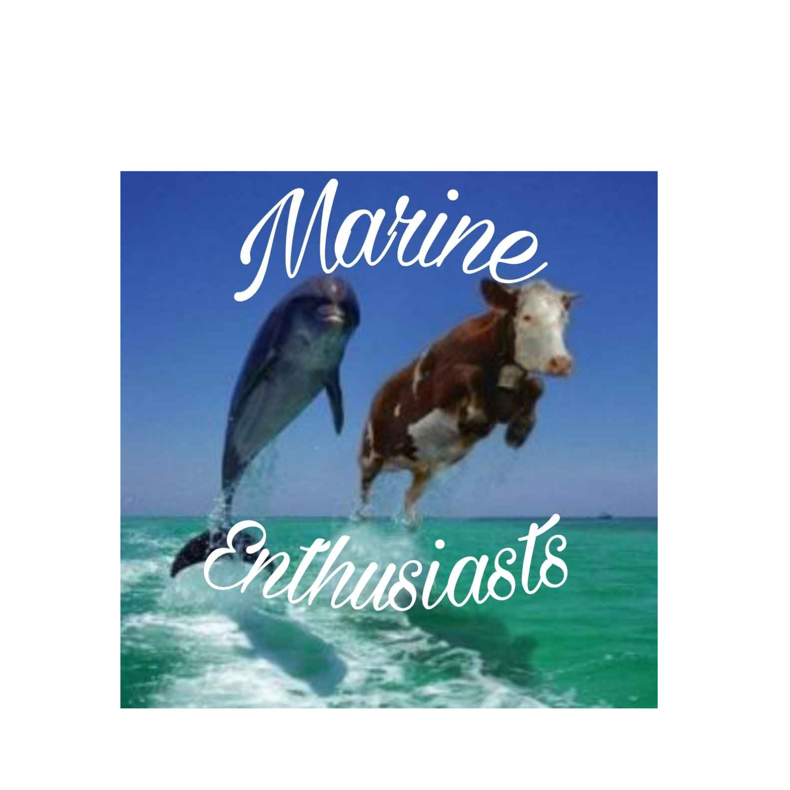 Episode 3: 3 Facts & 3 Myths About Odd Nature of Dolphins! episode artwork