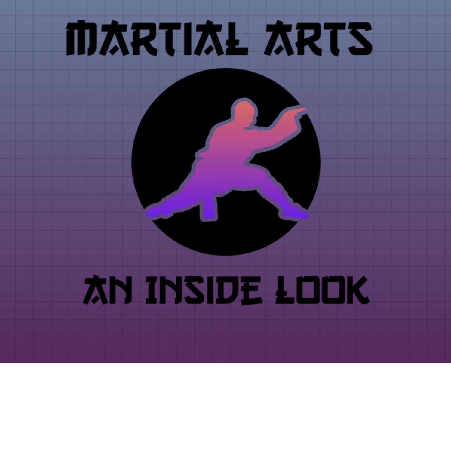 Martial Arts an Inside Look