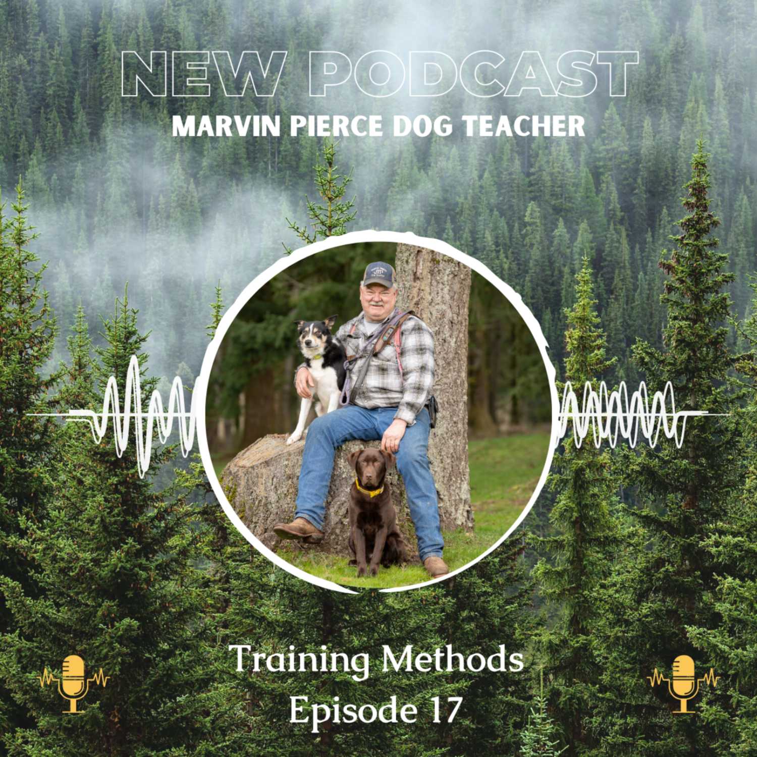 Dog Training Methods 