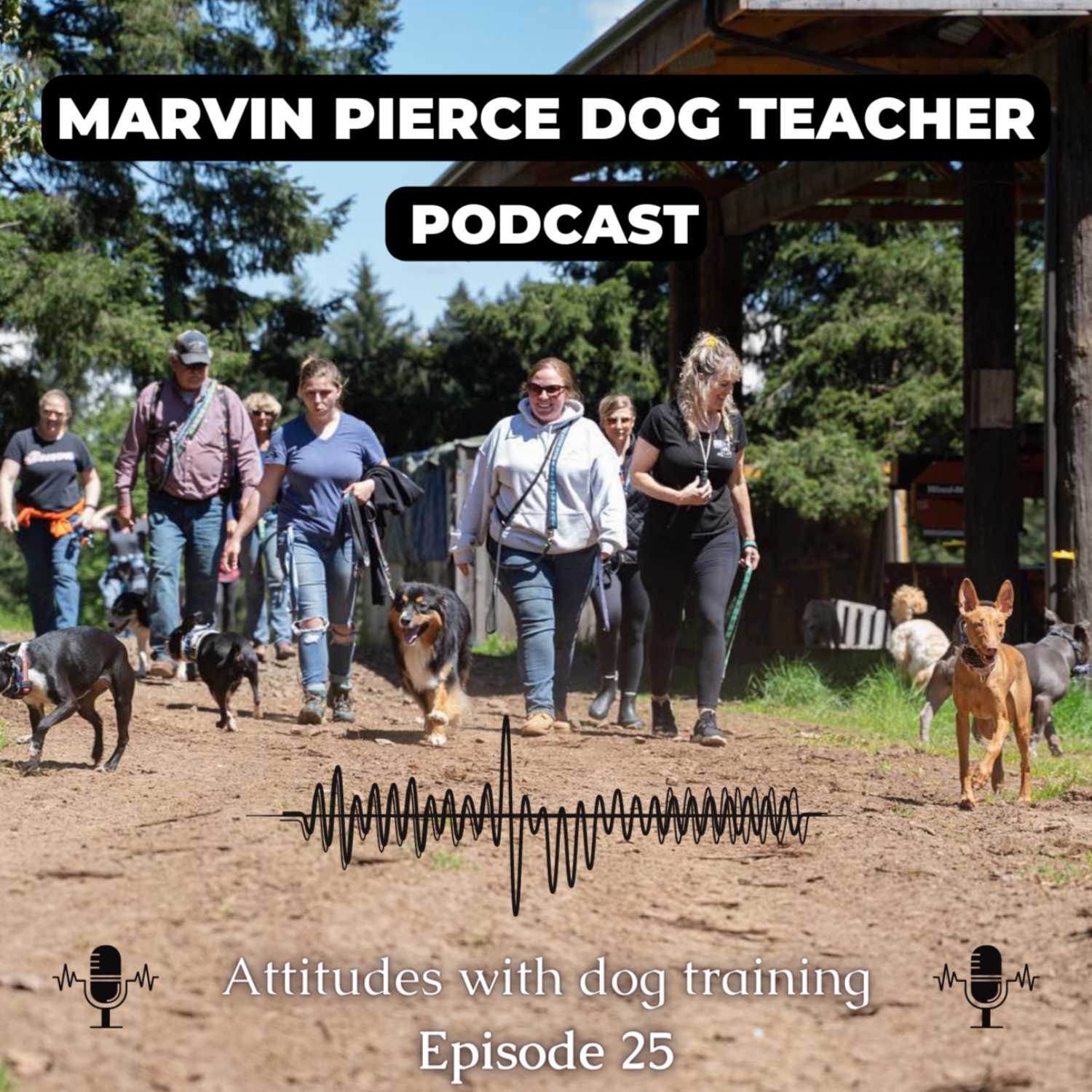 Attitudes with dog training