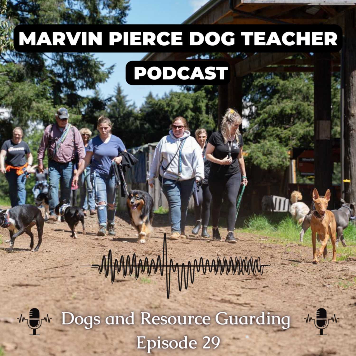 Dogs and Resource Guarding 