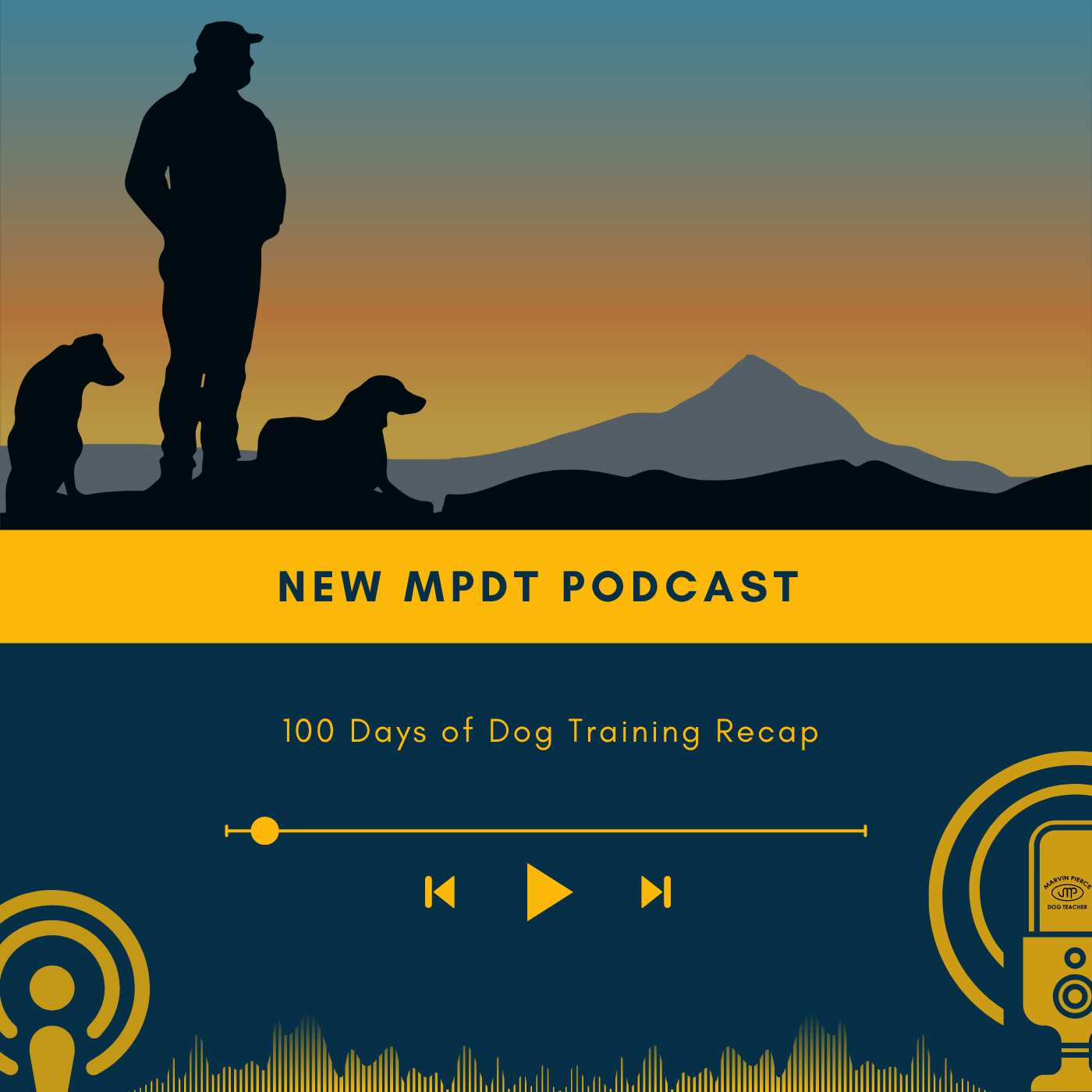 100 Days of Dog Training Recap