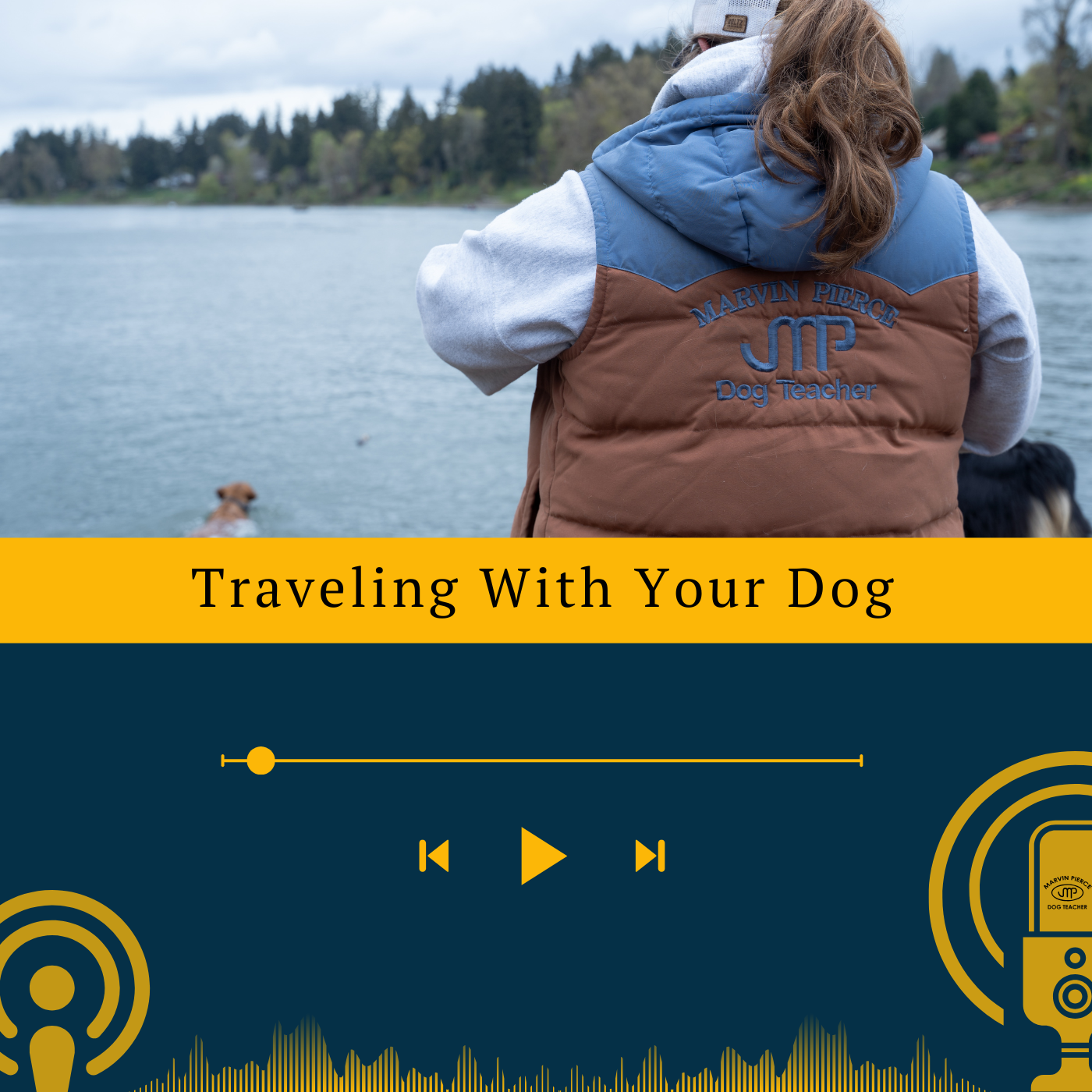 Traveling With Your Dog Marvin Pierce Dog Teacher