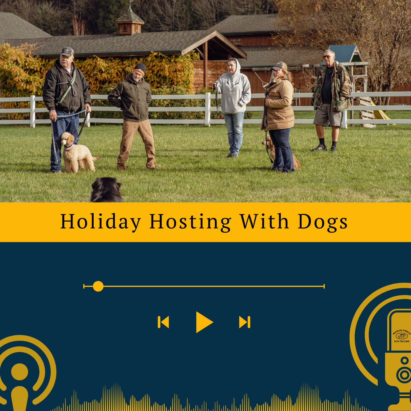 Holiday Hosting With Dogs