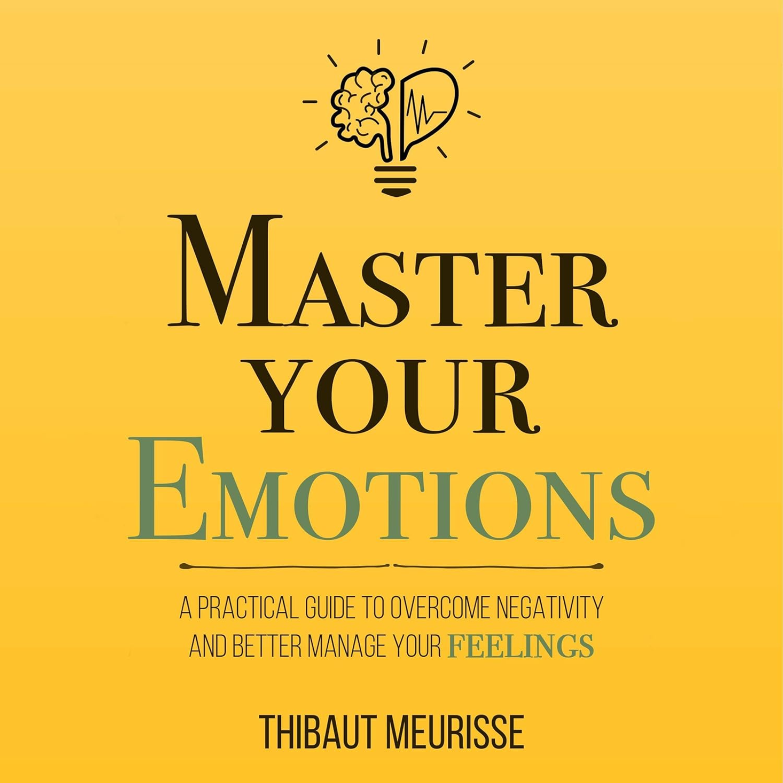 Master Your Emotions by Thibaut Meurisse, Book Summary, Podcast