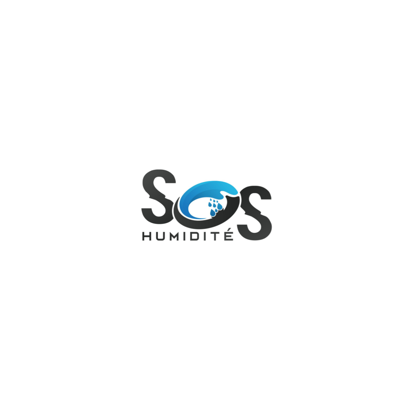Mastering Moisture with SOS Humidité