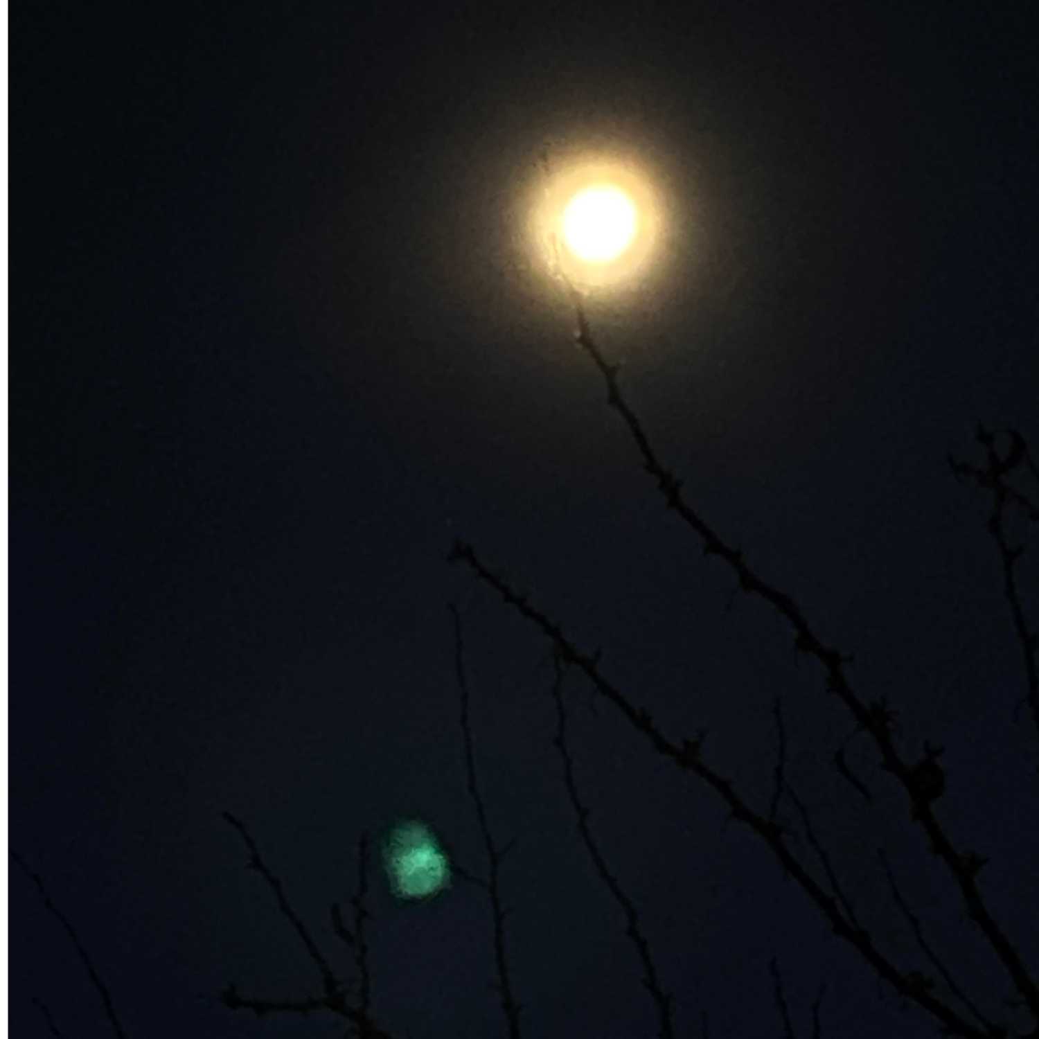 Math: A Necessary Evil