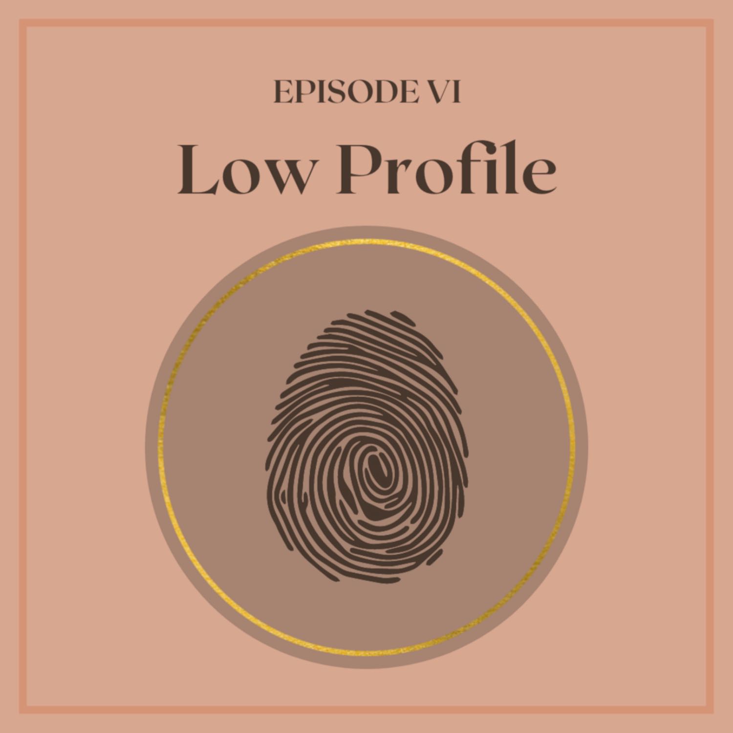 Episode VI: Low Profile Episode VI: Low Profile