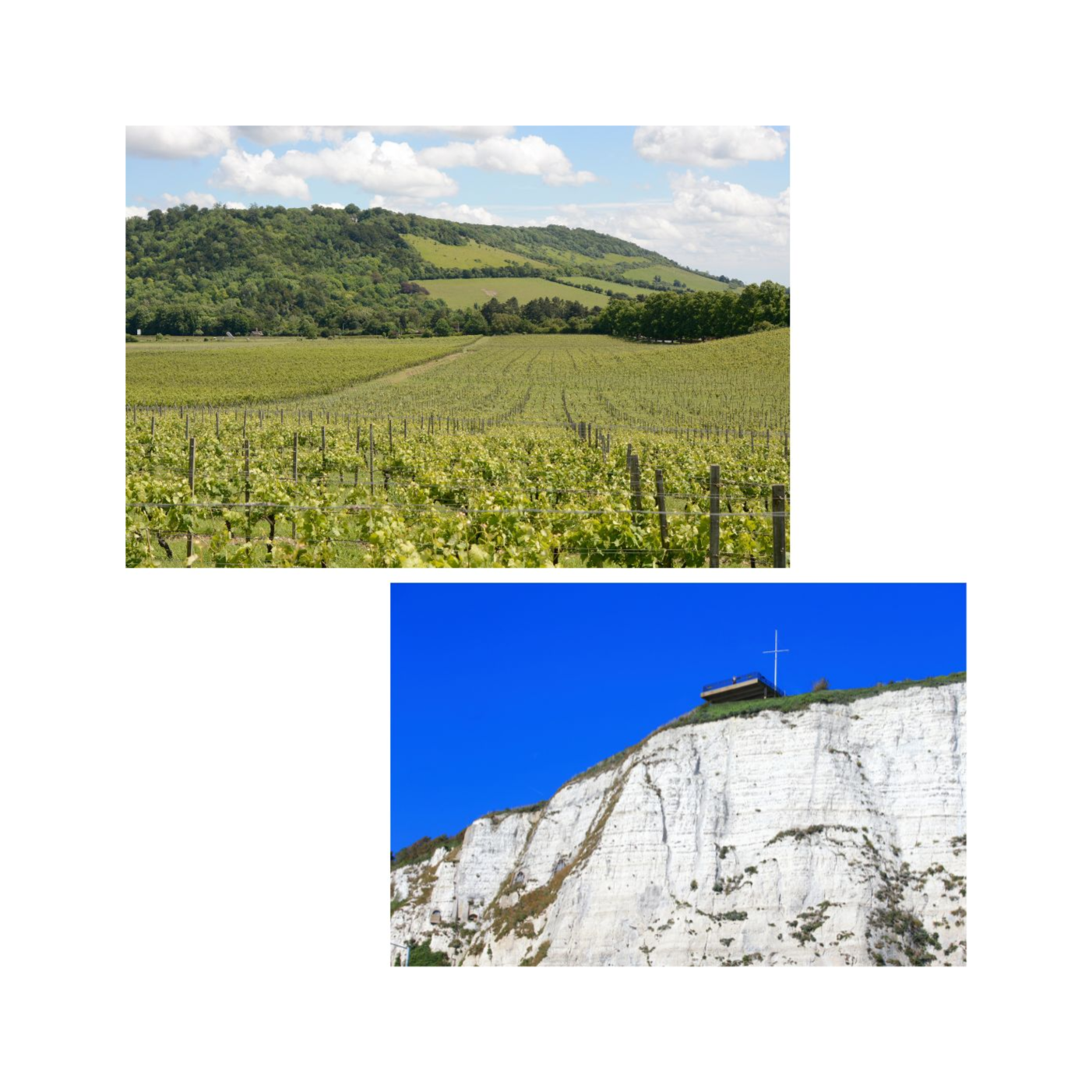 Matthew\'s World of Wine and Drink