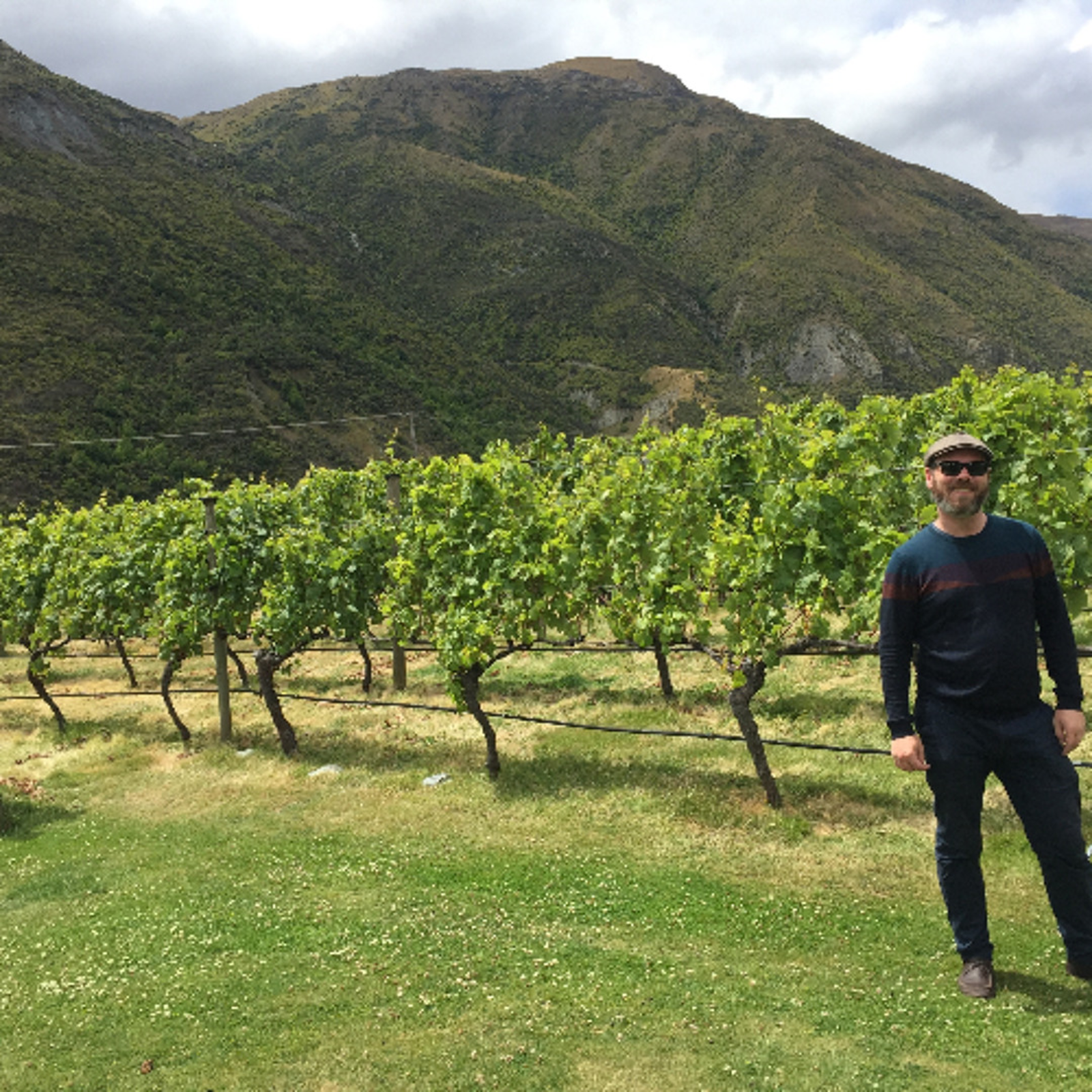 Italian White Grape Varieties