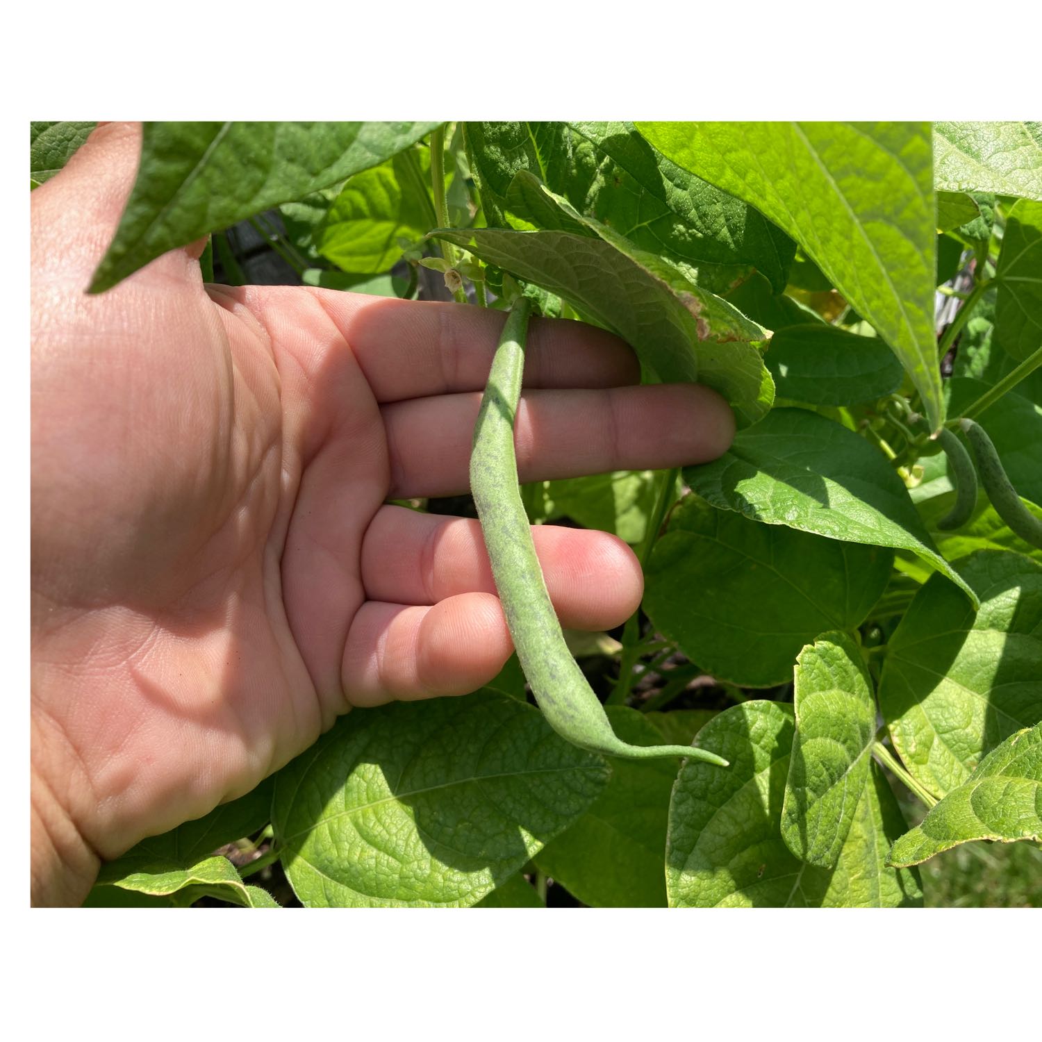 Test drive with mat n vod cover art