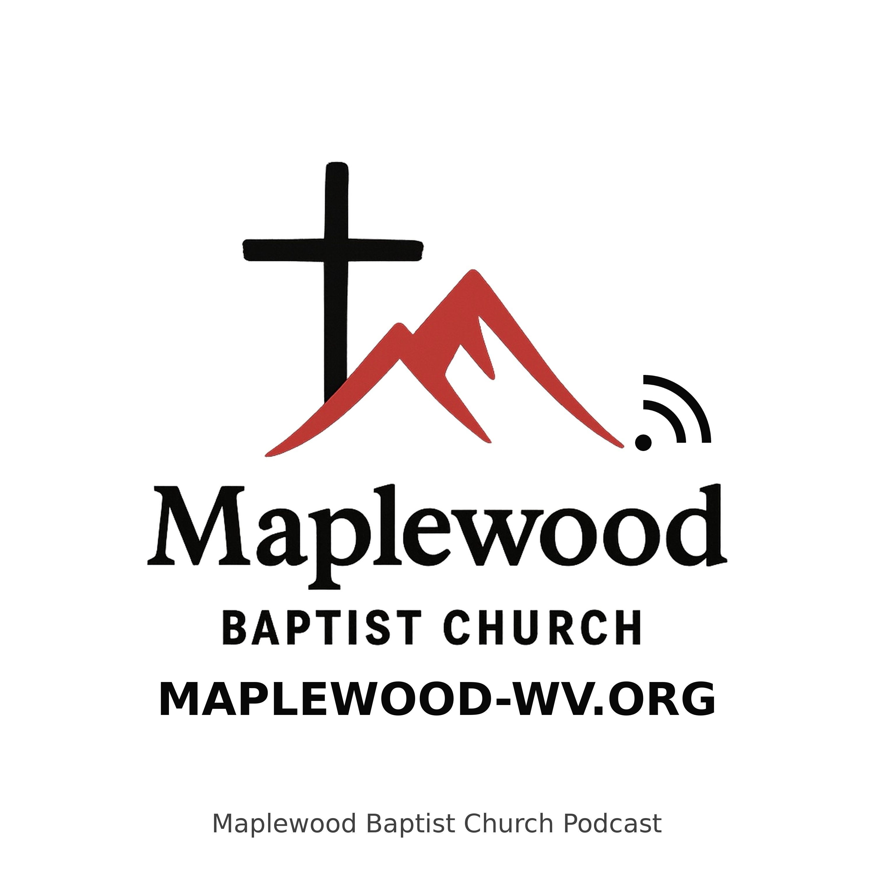 7/12/2026 | John the Baptist, Repentance, and Scriptural Baptism episode artwork