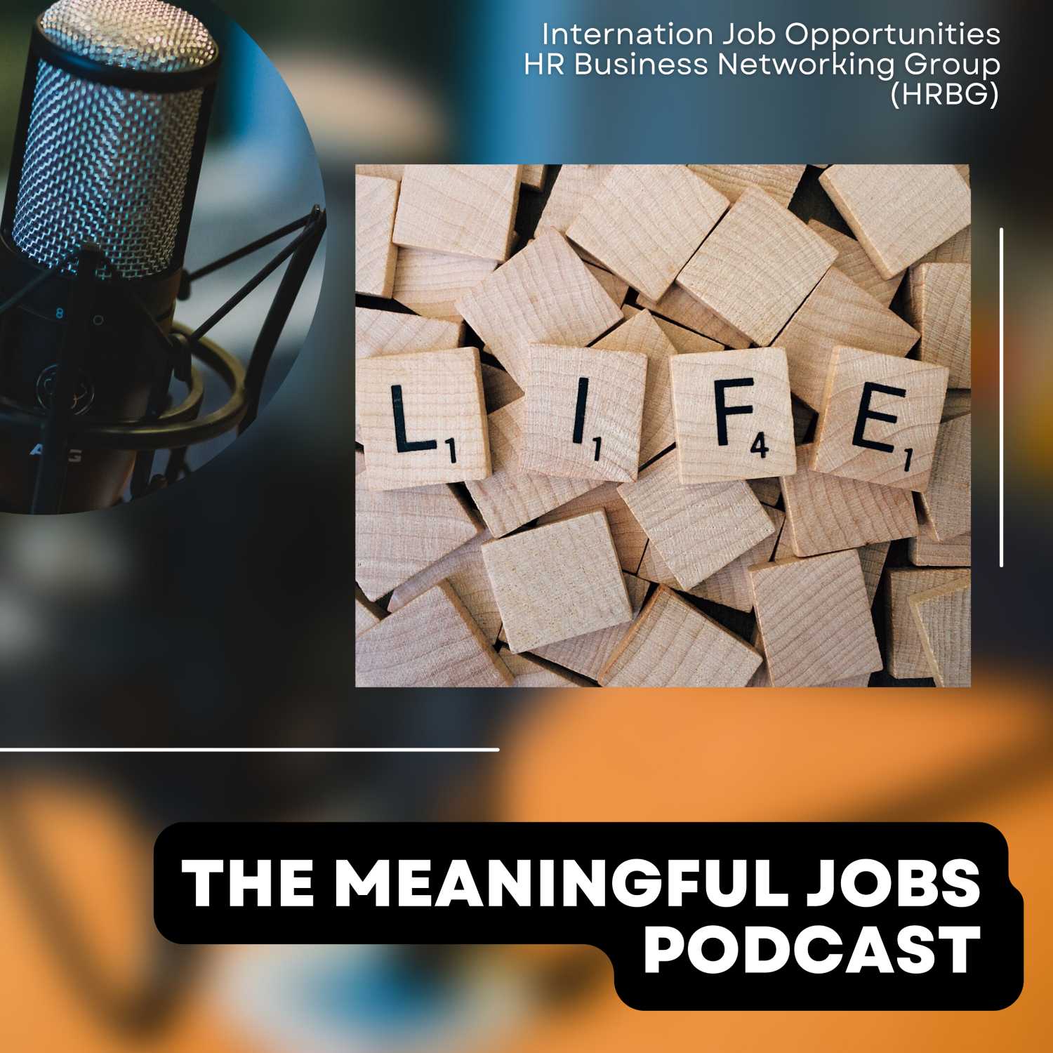 The Meaningful Jobs Podcast