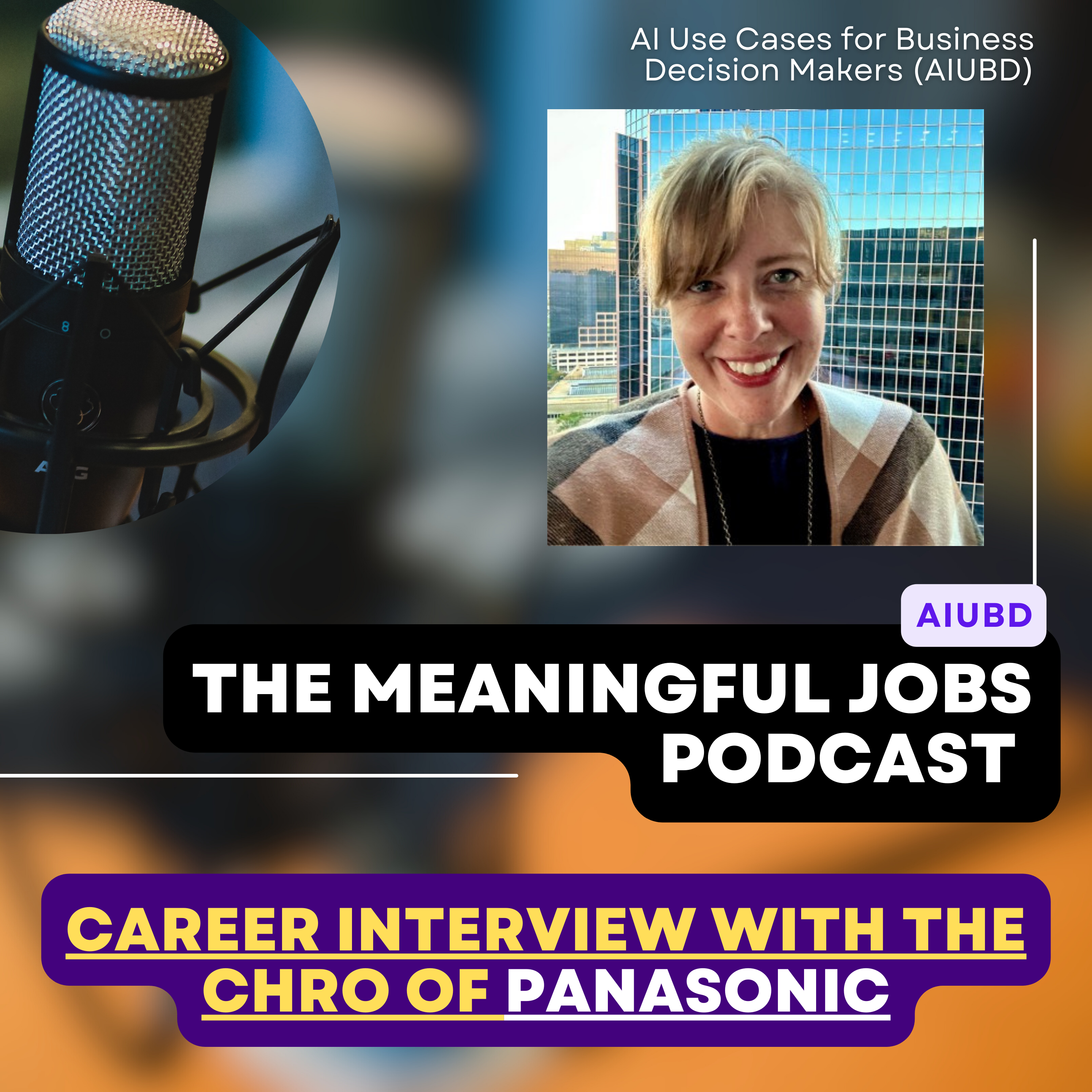 The Meaningful Jobs Podcast