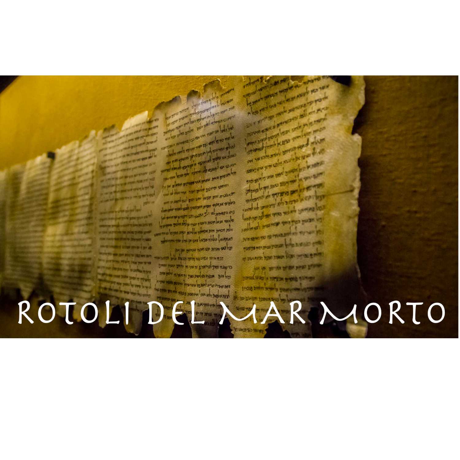 I rotoli del Mar Morto