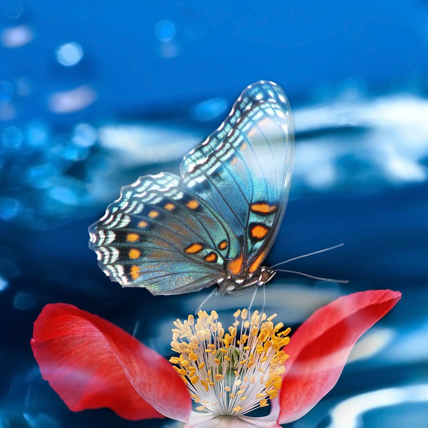 Beautiful Meditation Music For Inner Calm And Reflection
