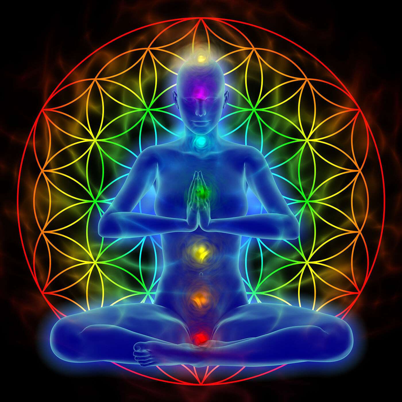 5 Minute Guided Gratitude Morning Or Evening Meditation