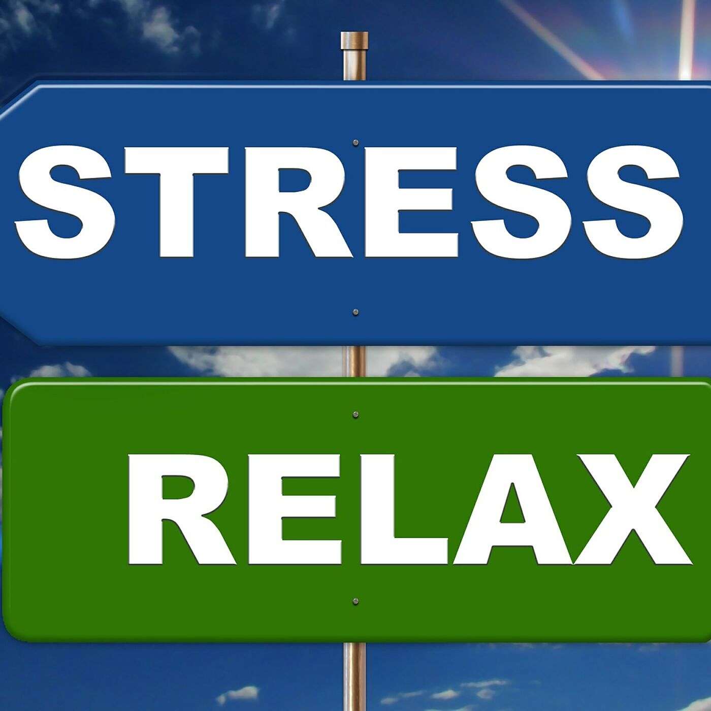 Short Body Scan Guided Meditation For Relaxation