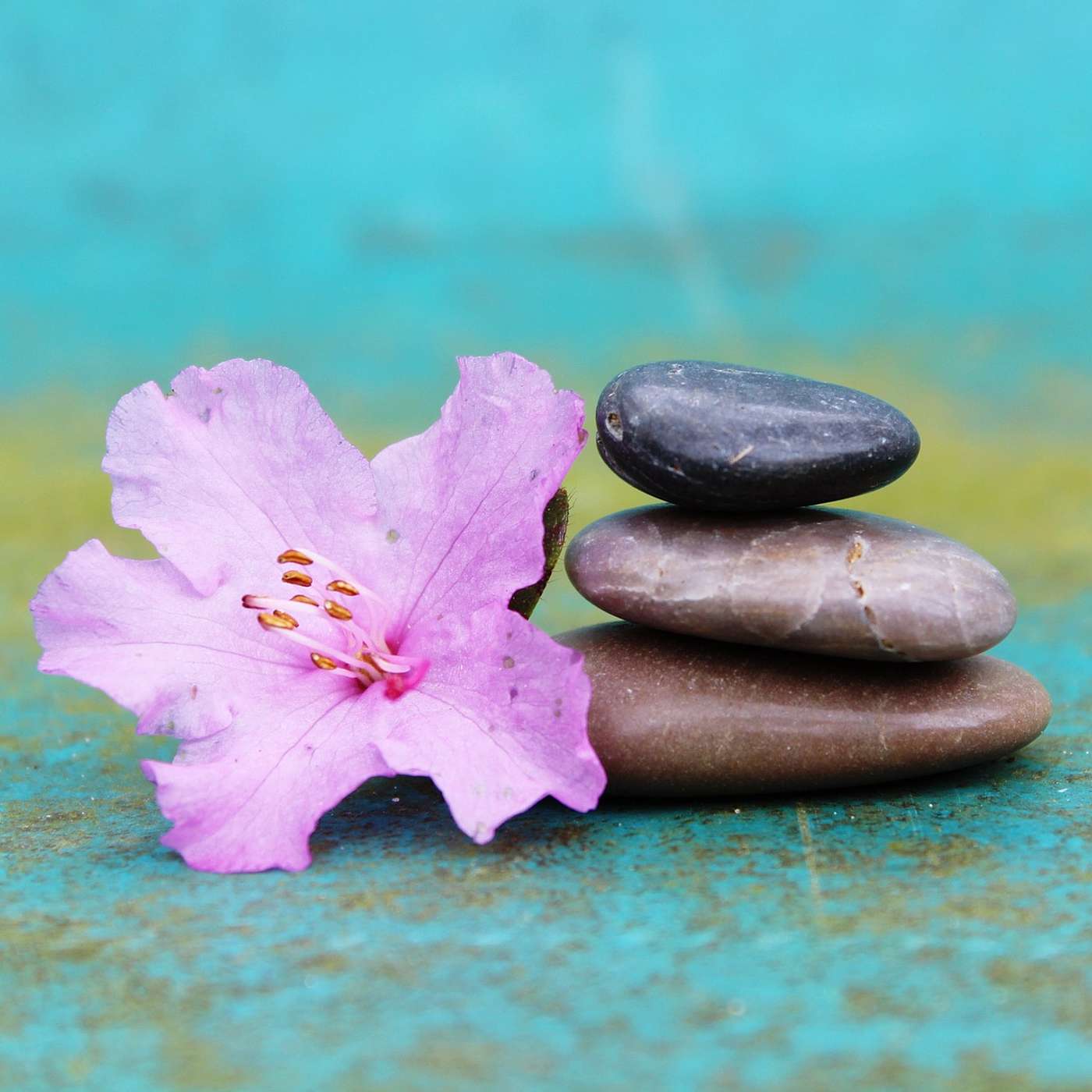 5 Minute Easy Guided Breath Meditation For Beginners