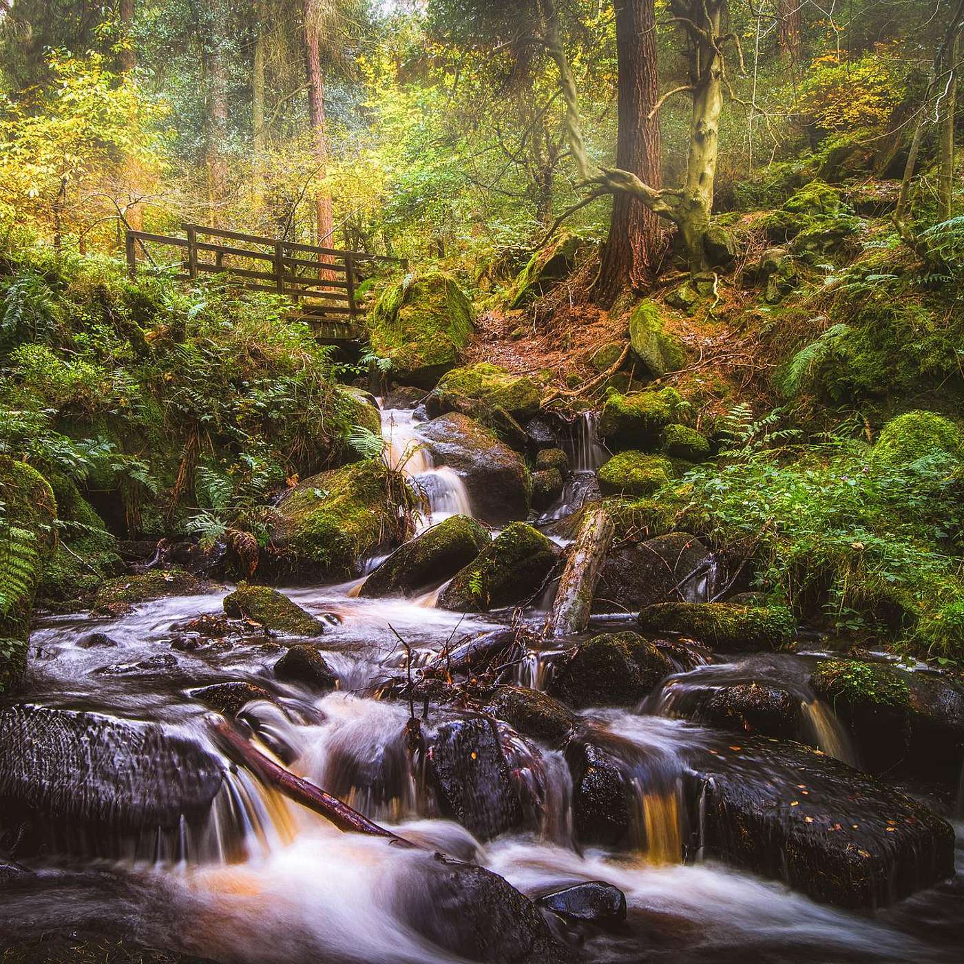 Vol 3 Meditation Soundscapes: Zen Mountain Stream Music