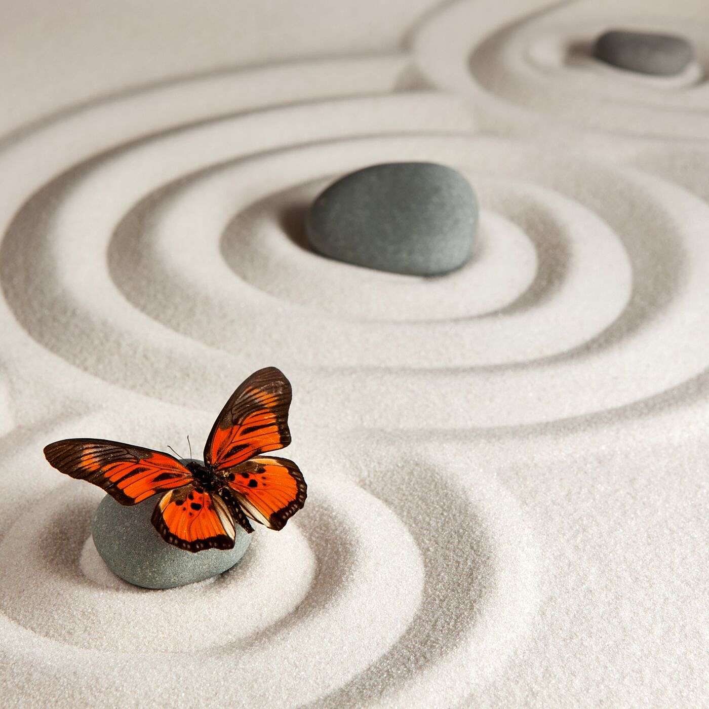 5 Effective Ways You Can Develop Your Meditation Skills