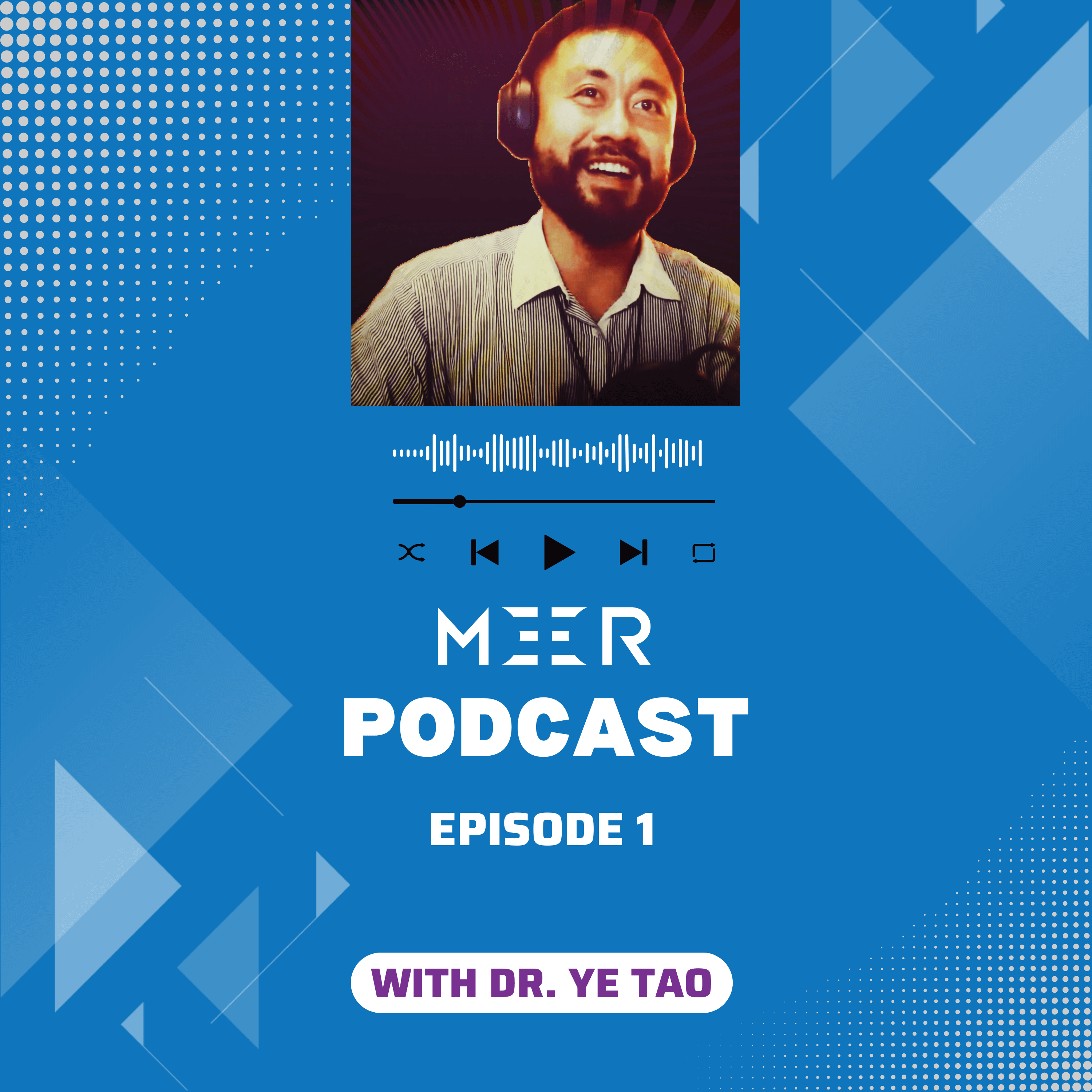 1 Introduction to Dr. Ye Tao and MEER