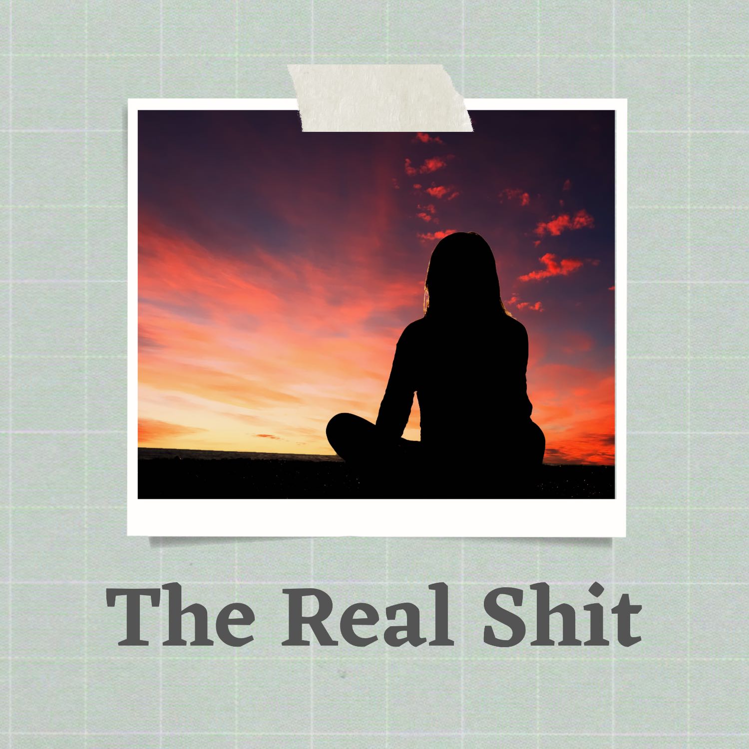 The Real Shit cover art