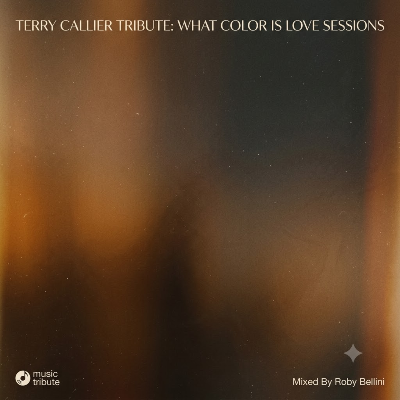 Terry Callier Tribute: What Color Is Love Sessions (Albori, Successo & Tracce Nascoste) episode artwork