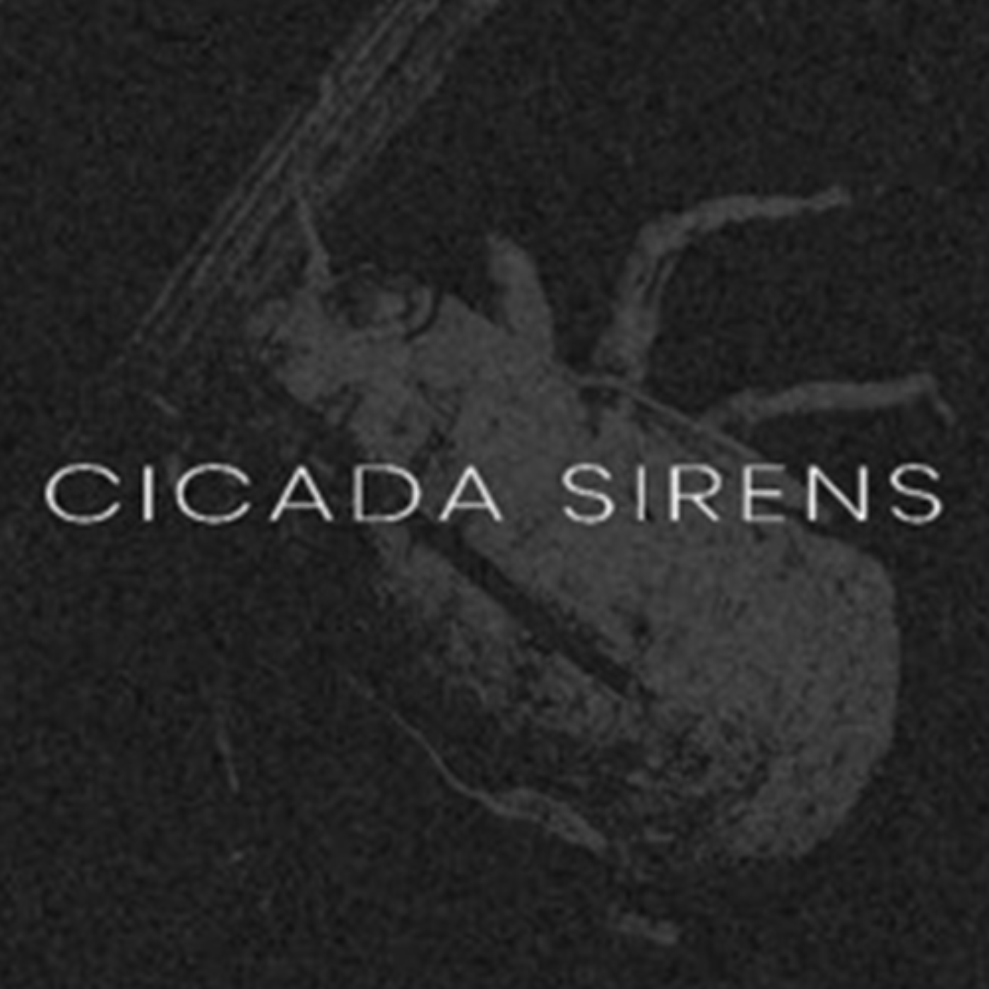#28: Talking with Cicada Sirens about Music Process, Games, Horror & More! episode artwork