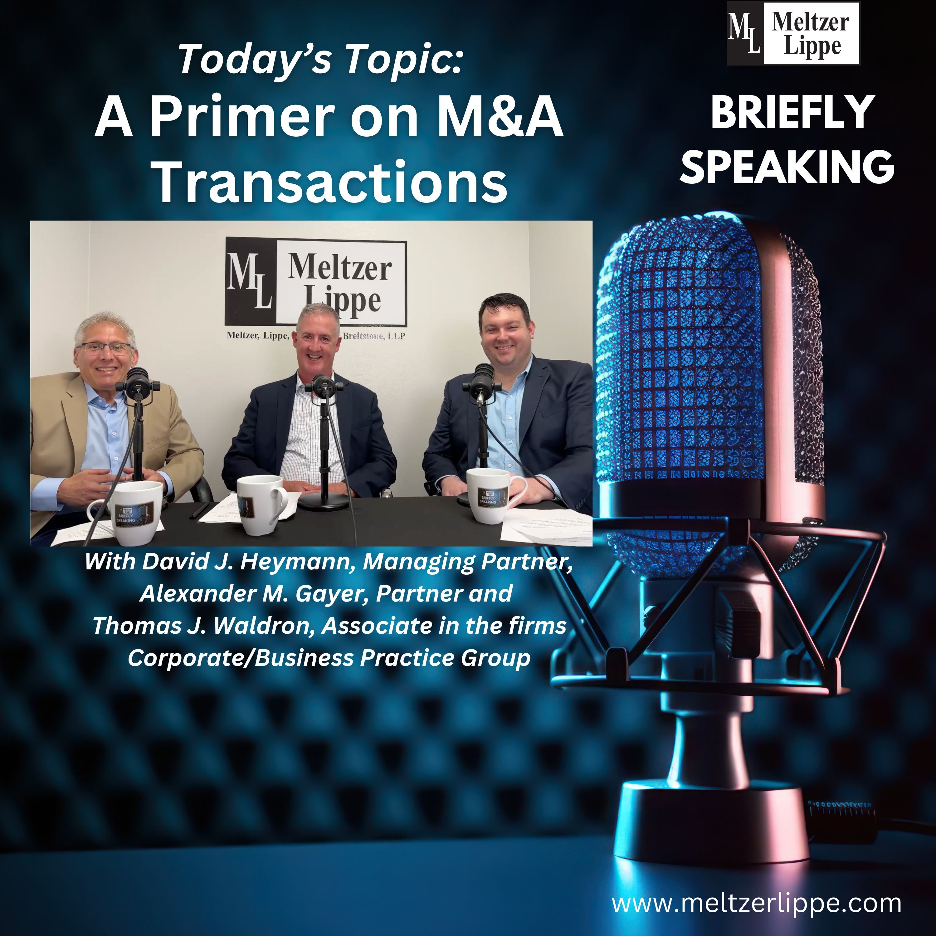 Meltzer Lippe Briefly Speaking: A Primer on M&A Transactions