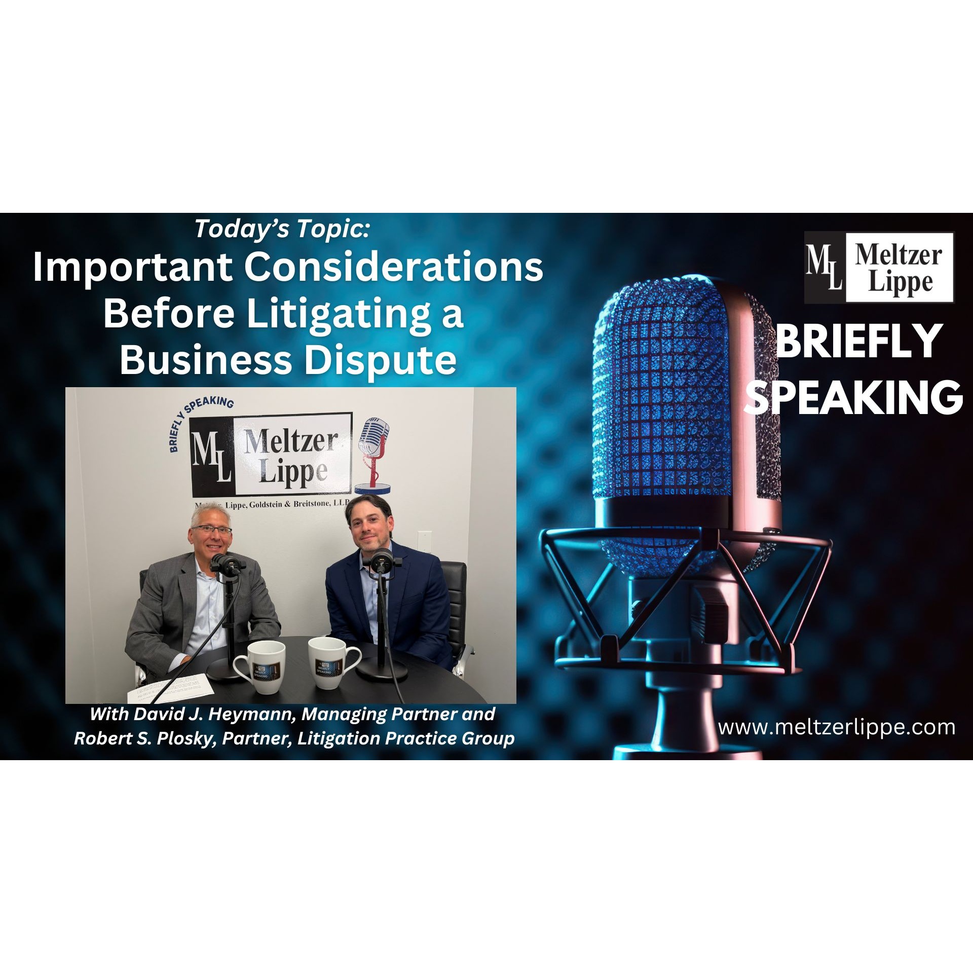Meltzer Lippe Briefly Speaking: Important Considerations Before Litigating a Business Dispute