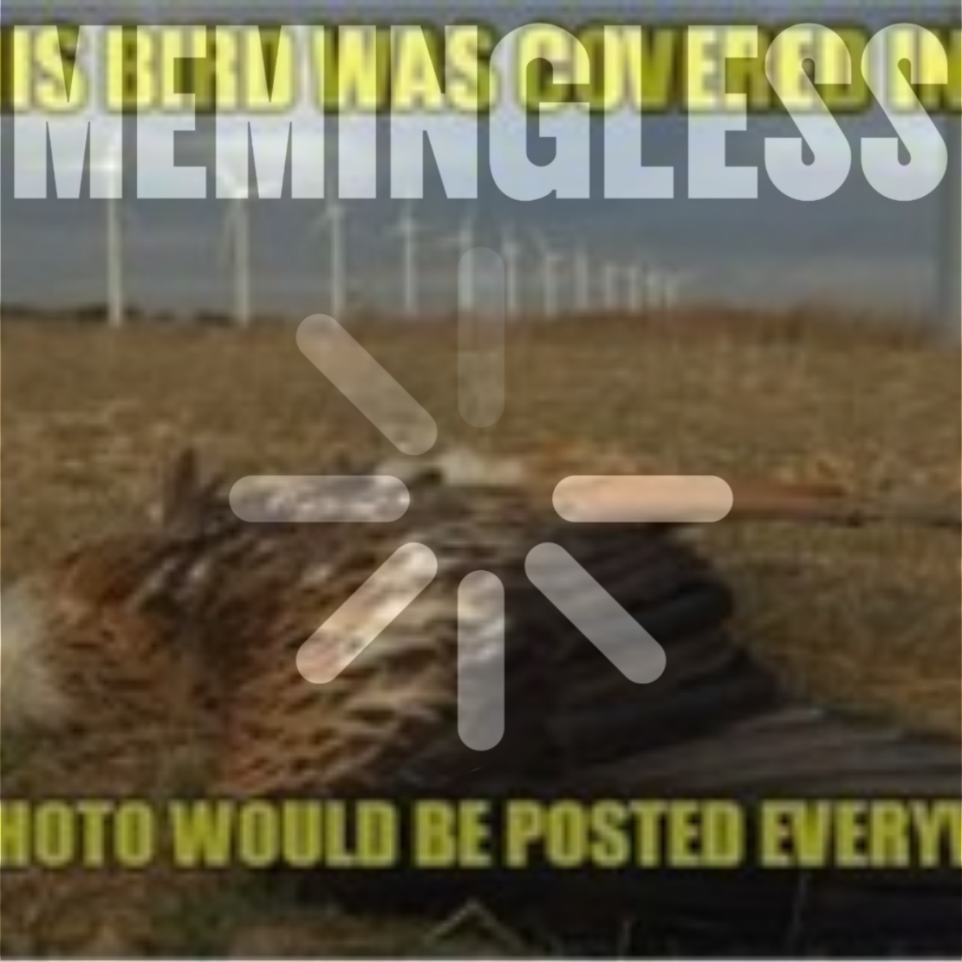 Memingless