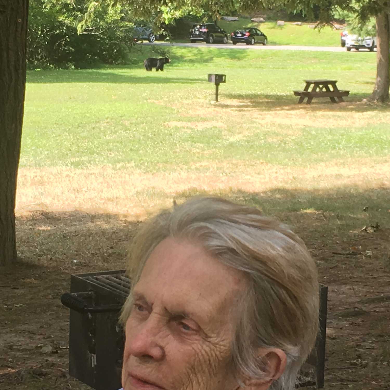 Episode 1: Pets and Animal Encounters