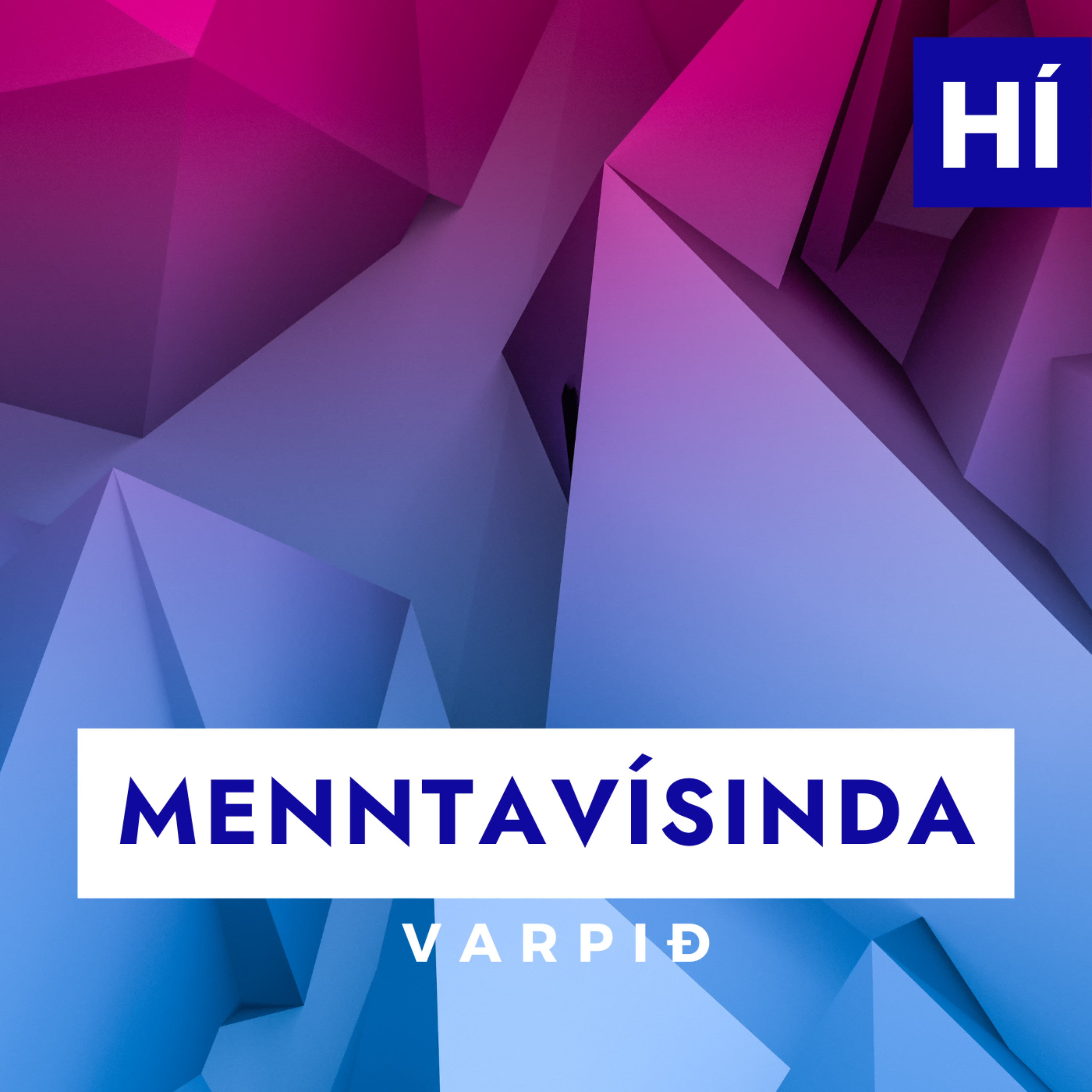 Menntavísindavarpið