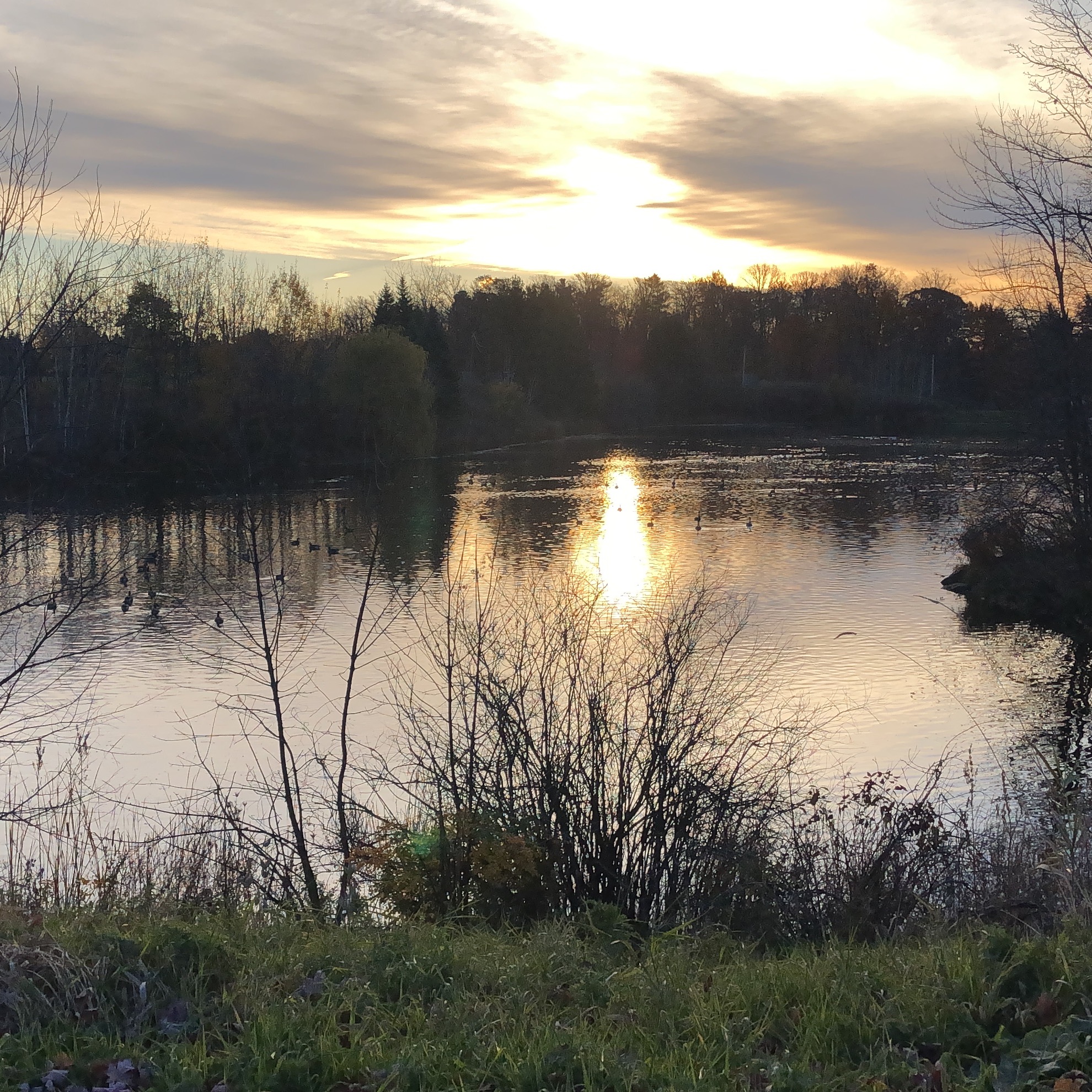 Mental Health and Industrial Revolution 