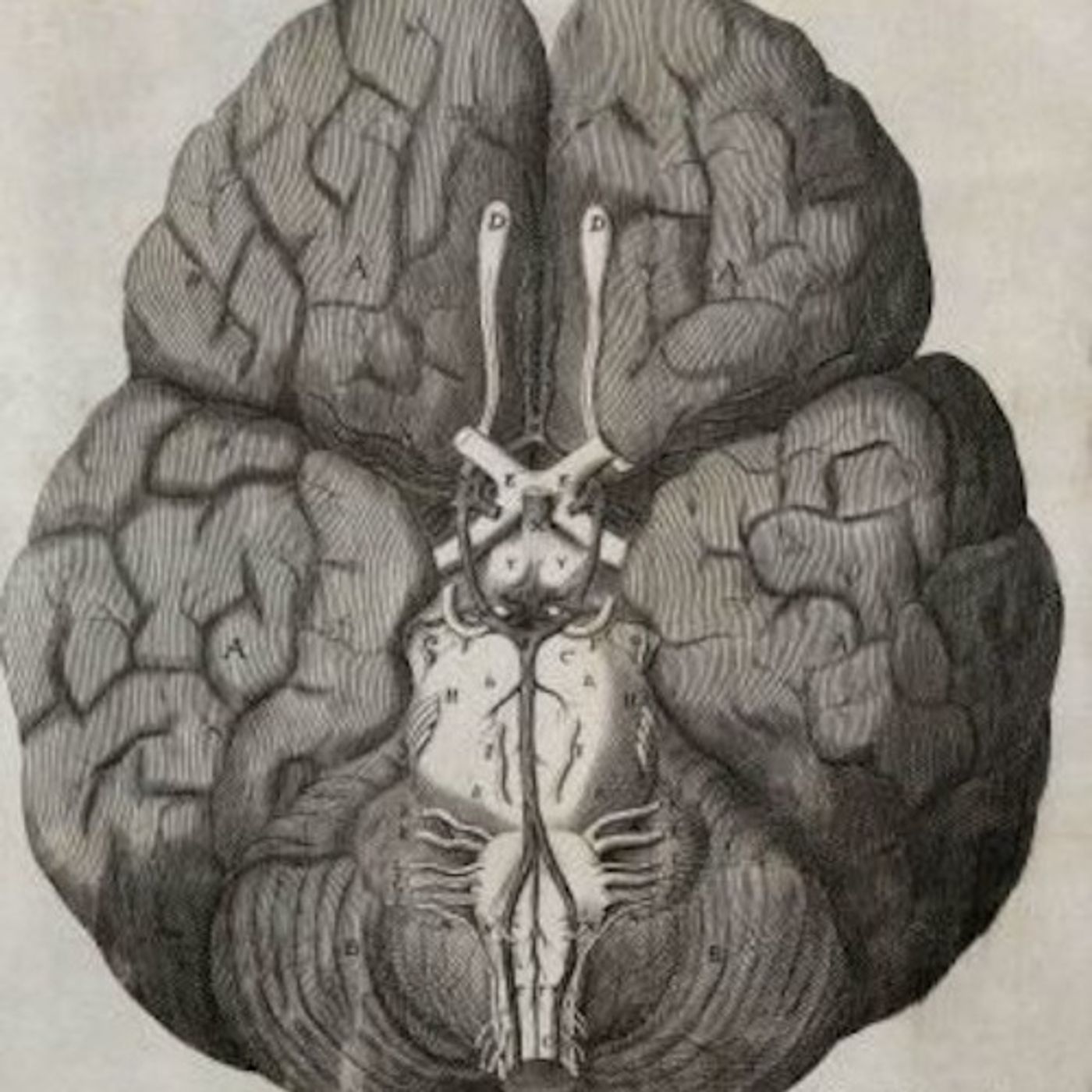 Mentes Covalentes