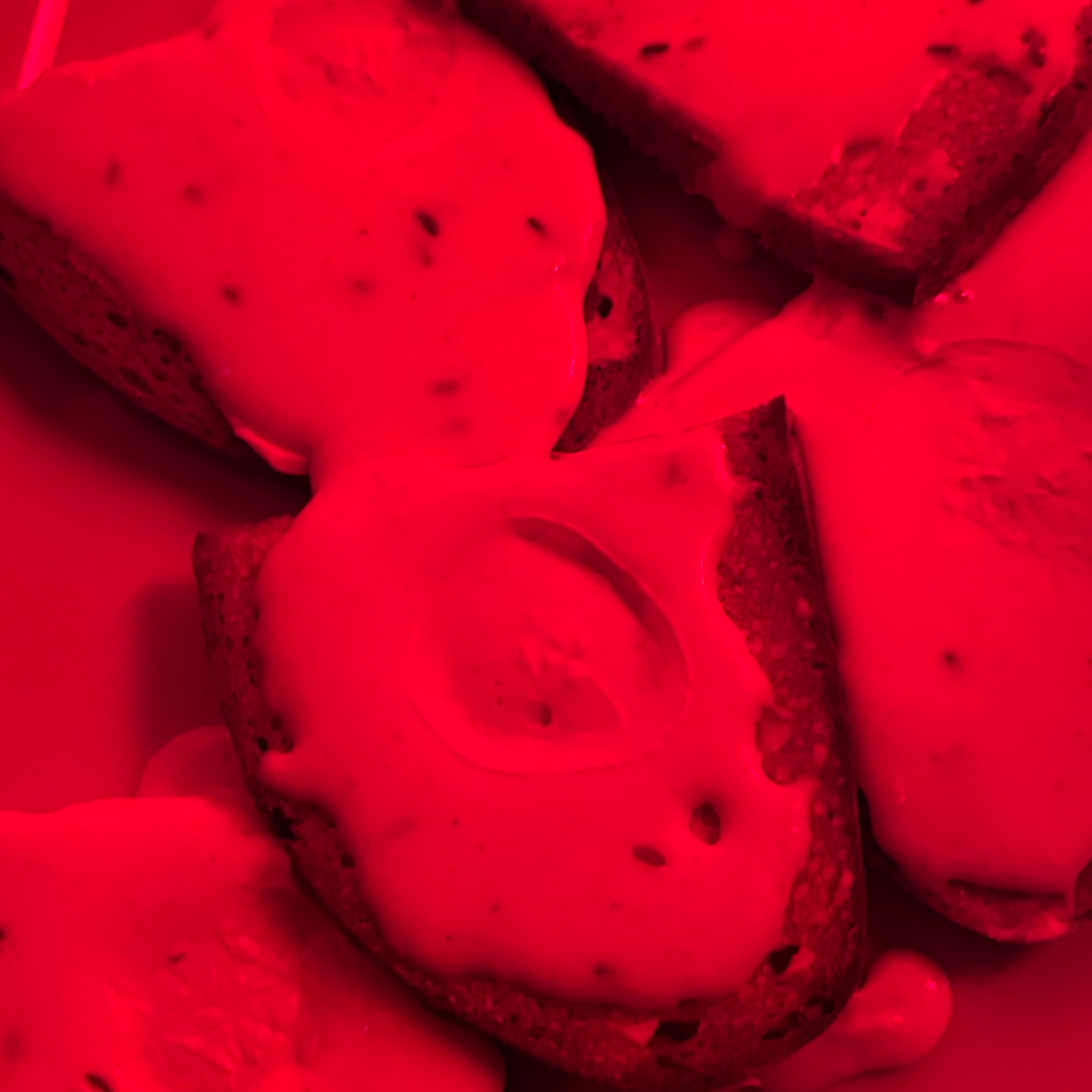 Gurken vom Brot essen cover art