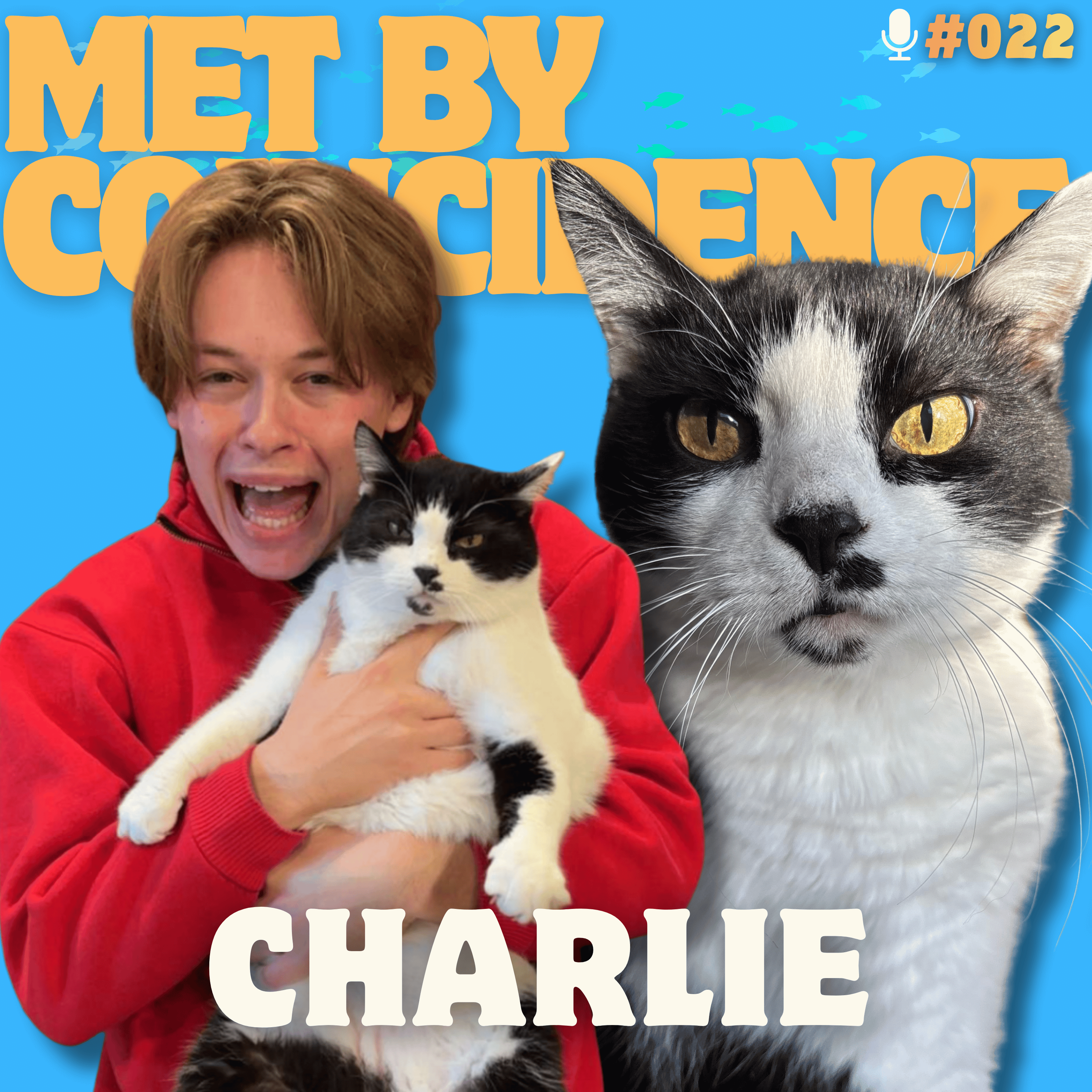 Met by Coincidence